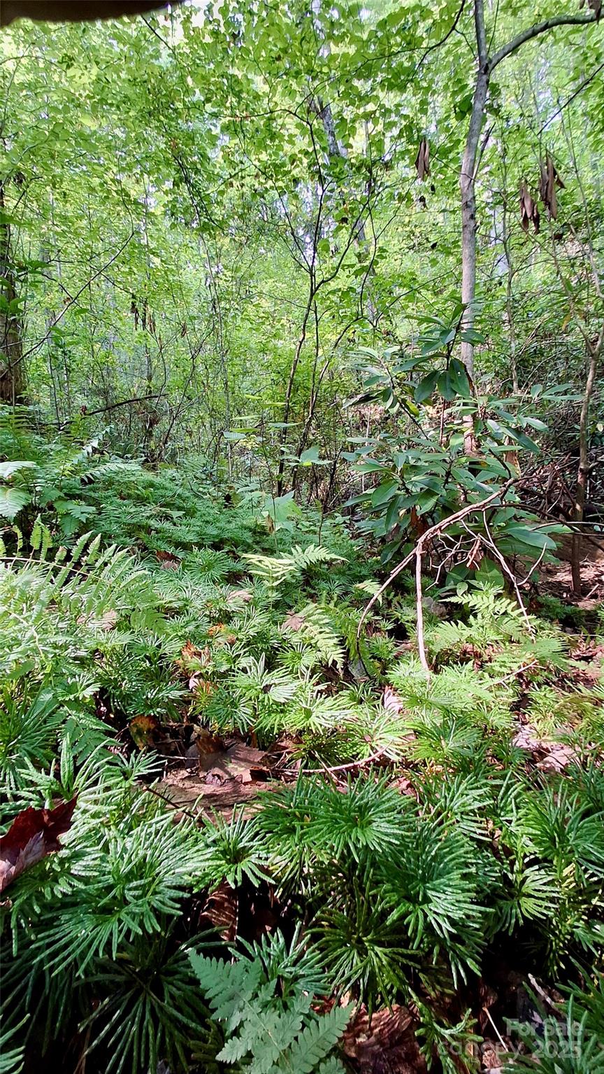 0 Cross Creek Circle Property Photo 9