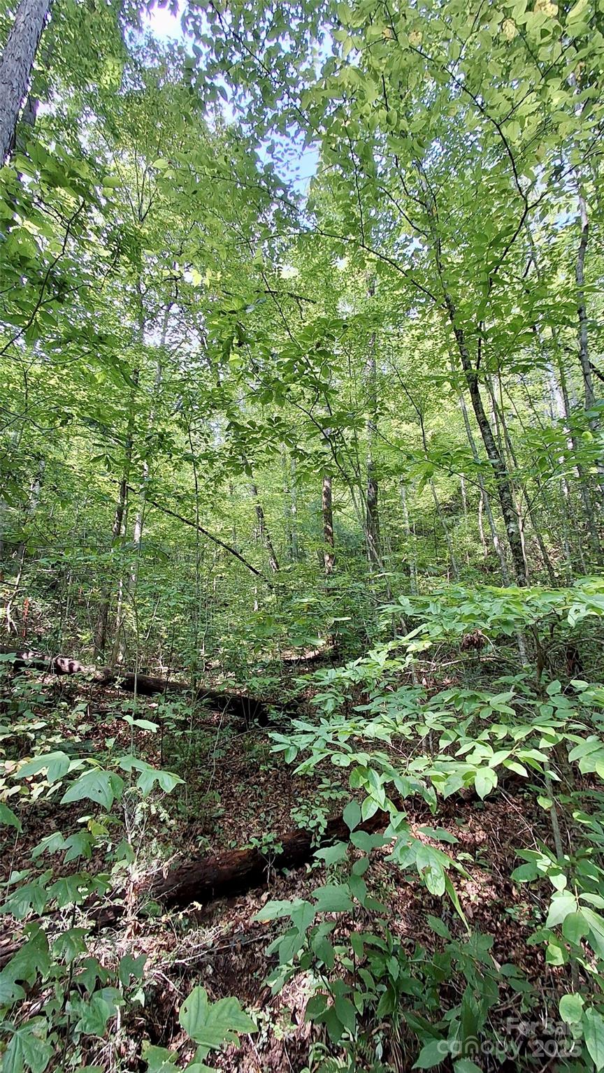 0 Cross Creek Circle Property Photo 17