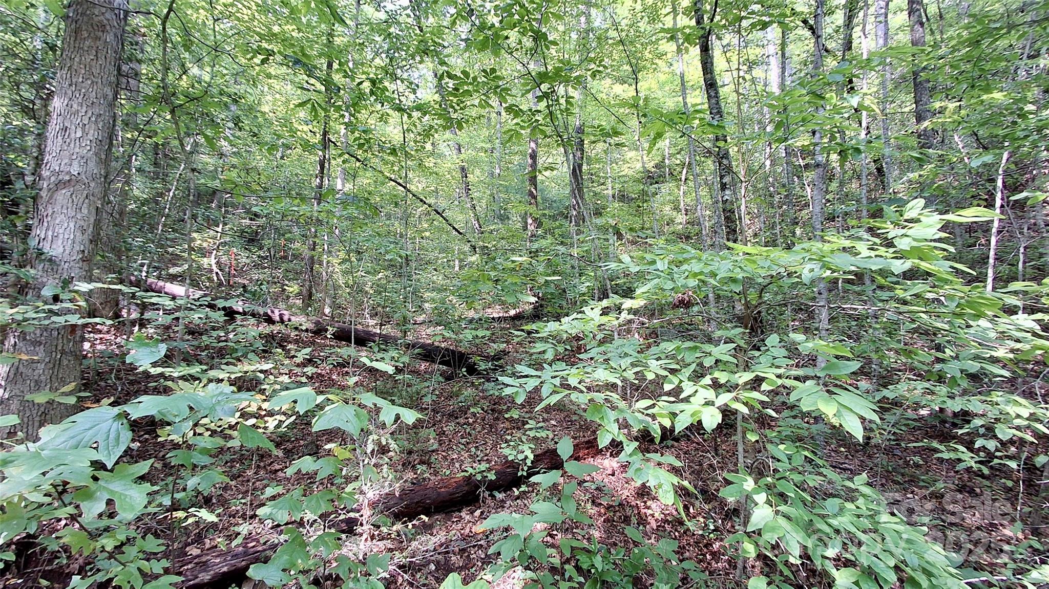 0 Cross Creek Circle Property Photo 18