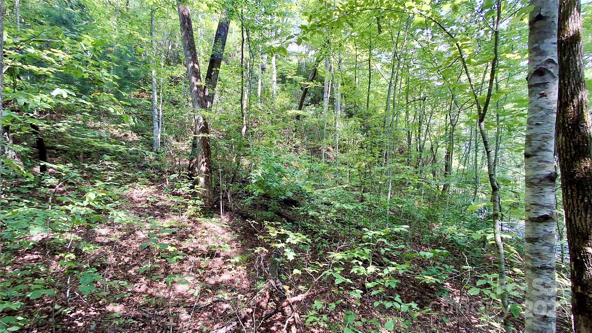 0 Cross Creek Circle Property Photo 20