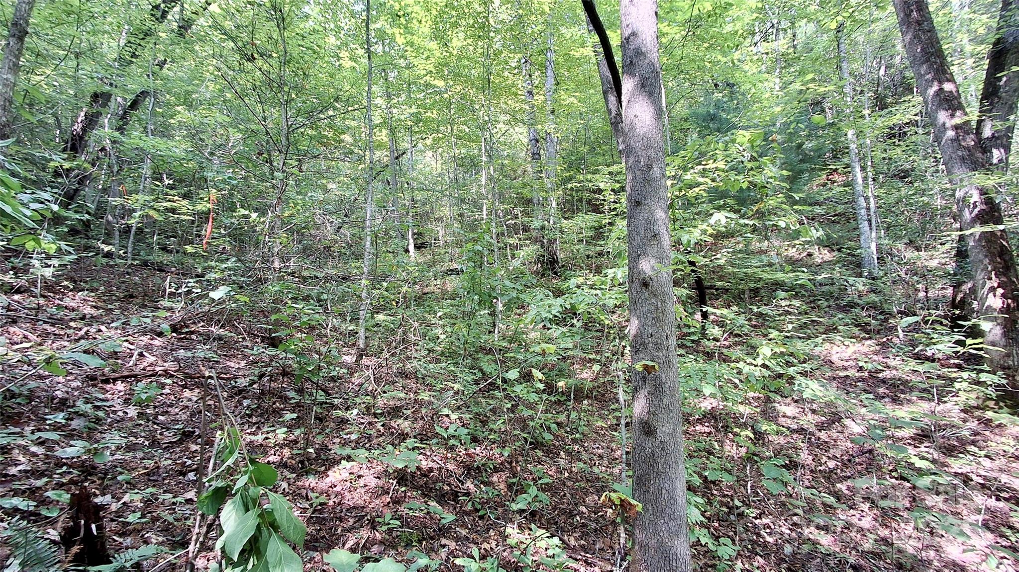 0 Cross Creek Circle Property Photo 21