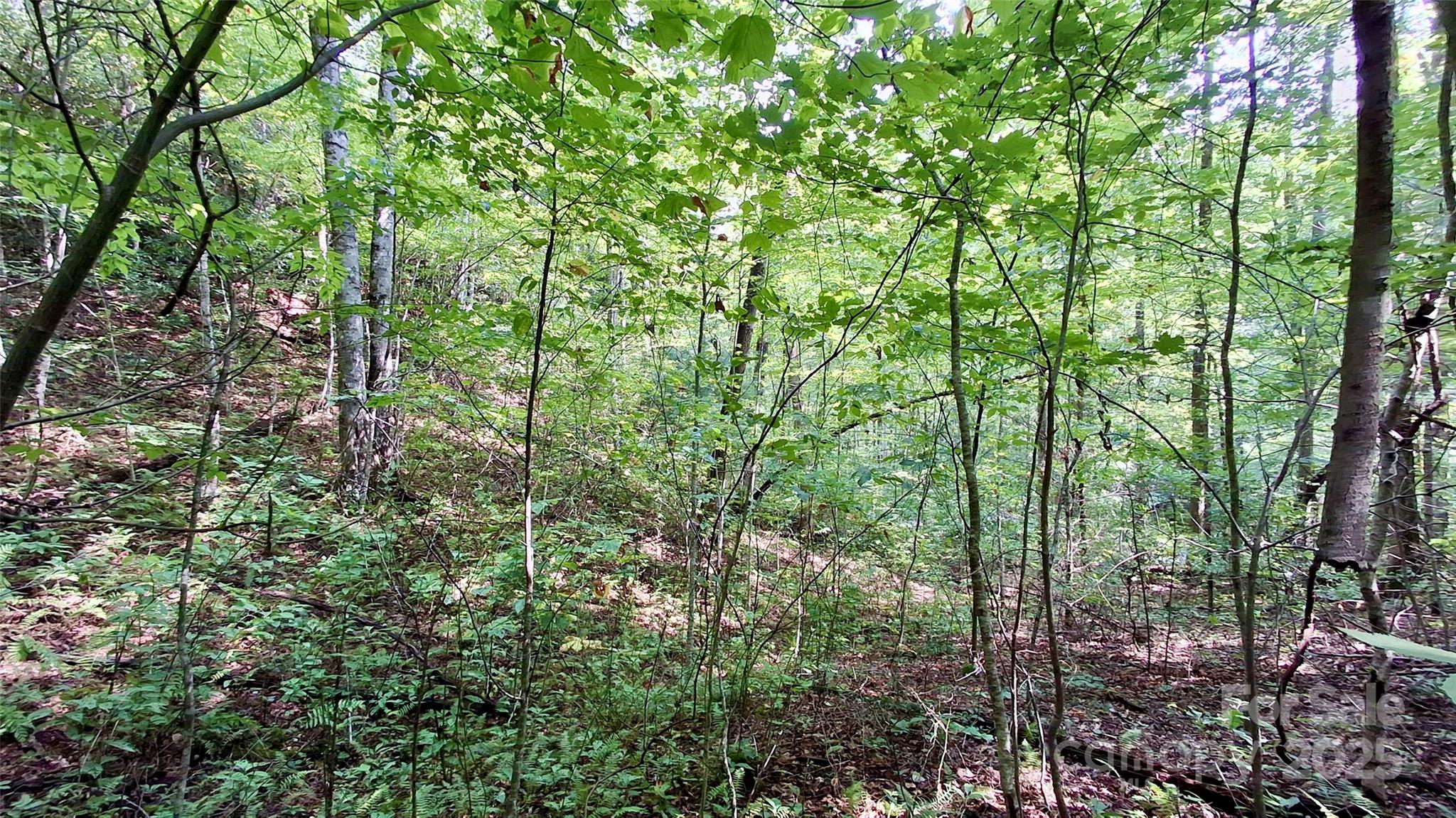 0 Cross Creek Circle Property Photo 22