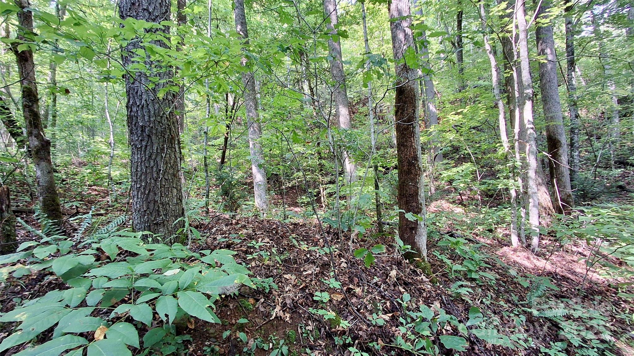 0 Cross Creek Circle Property Photo 25