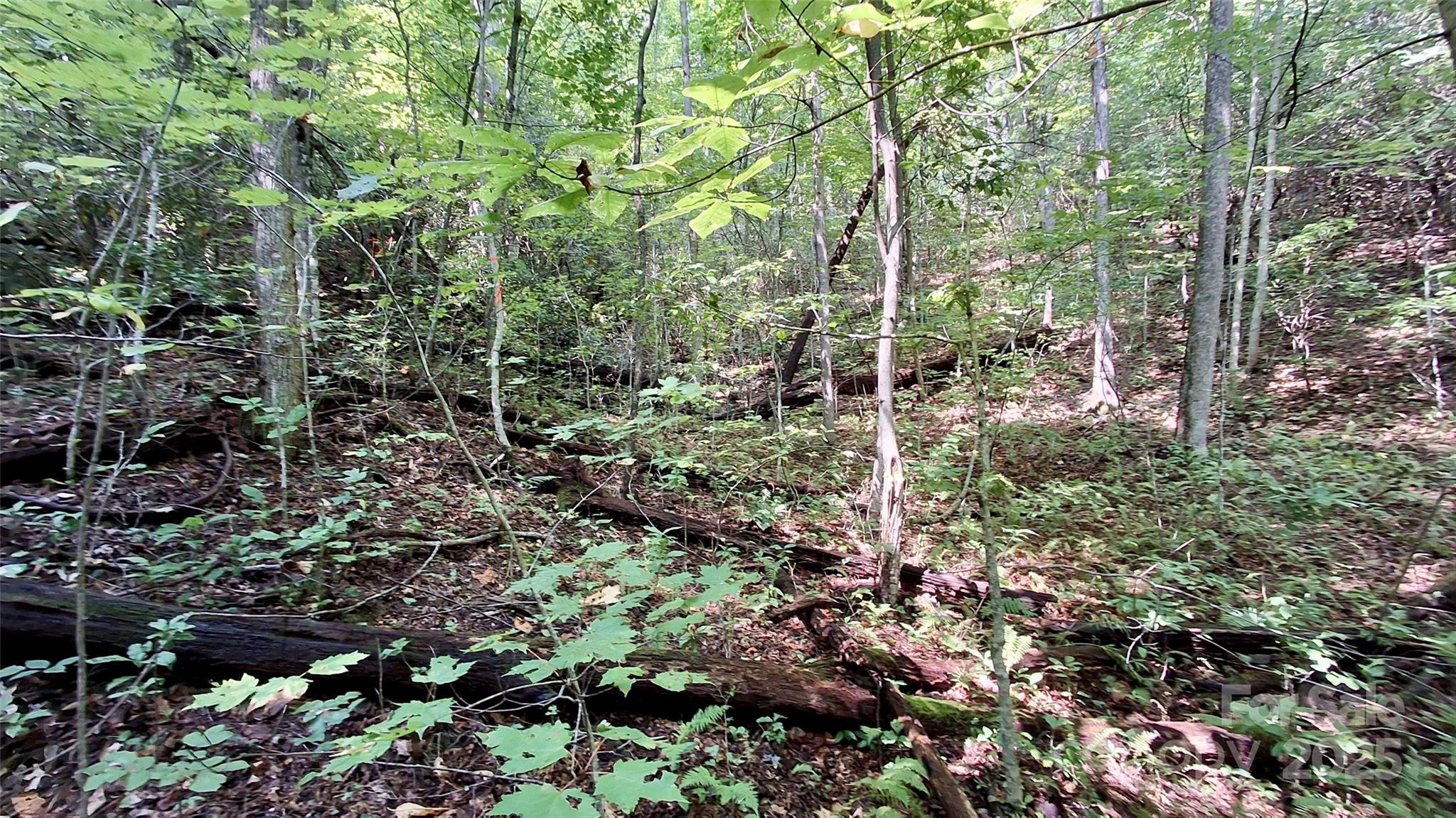 0 Cross Creek Circle Property Photo 26