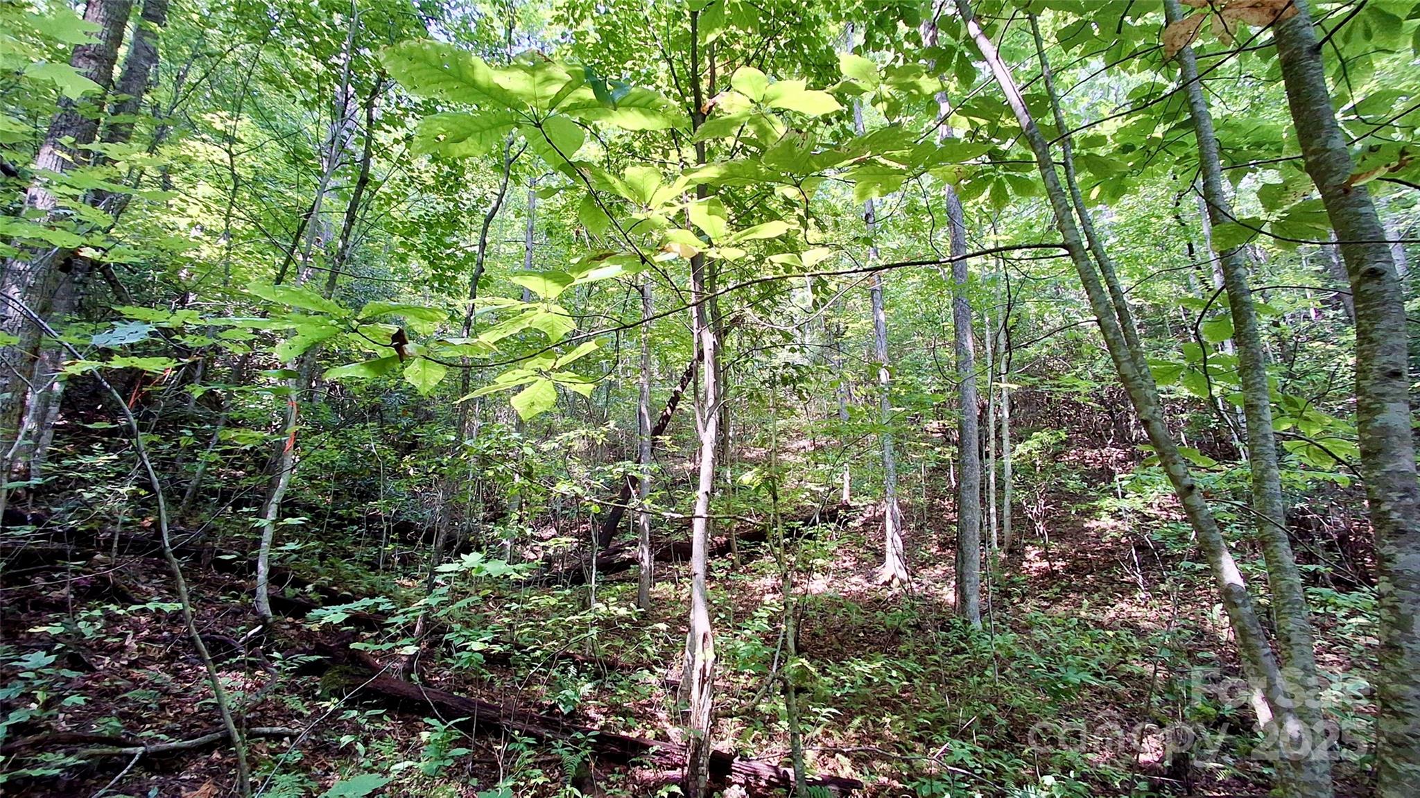 0 Cross Creek Circle Property Photo 27