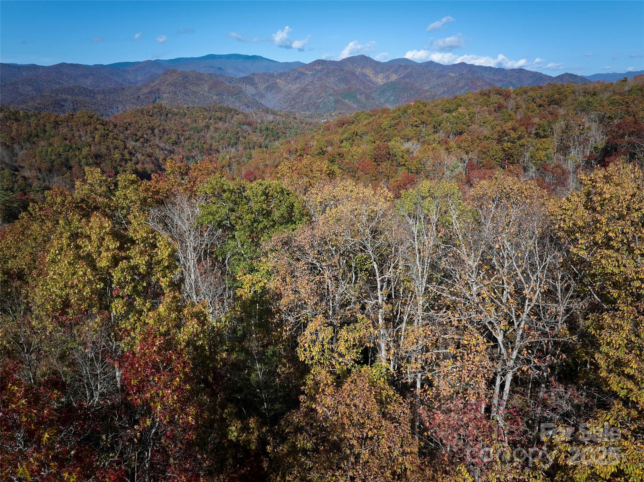 00 Black Forest Drive Property Photo 1