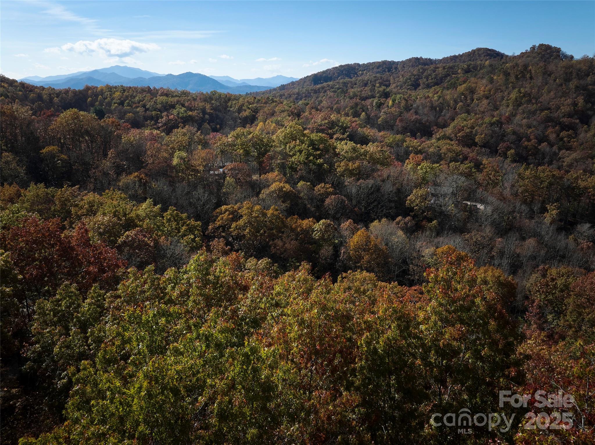 00 Black Forest Drive Property Photo 3