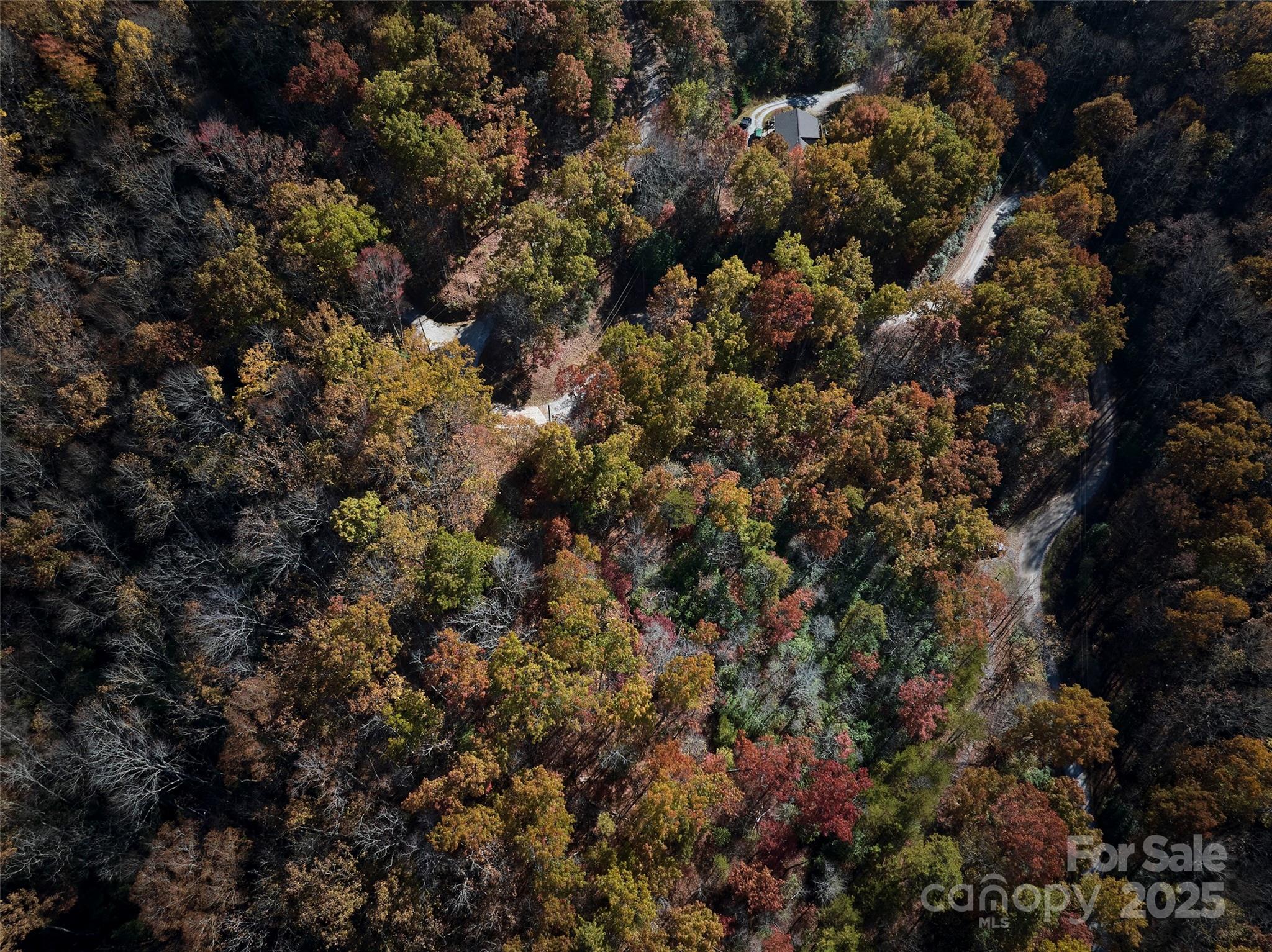 00 Black Forest Drive Property Photo 4