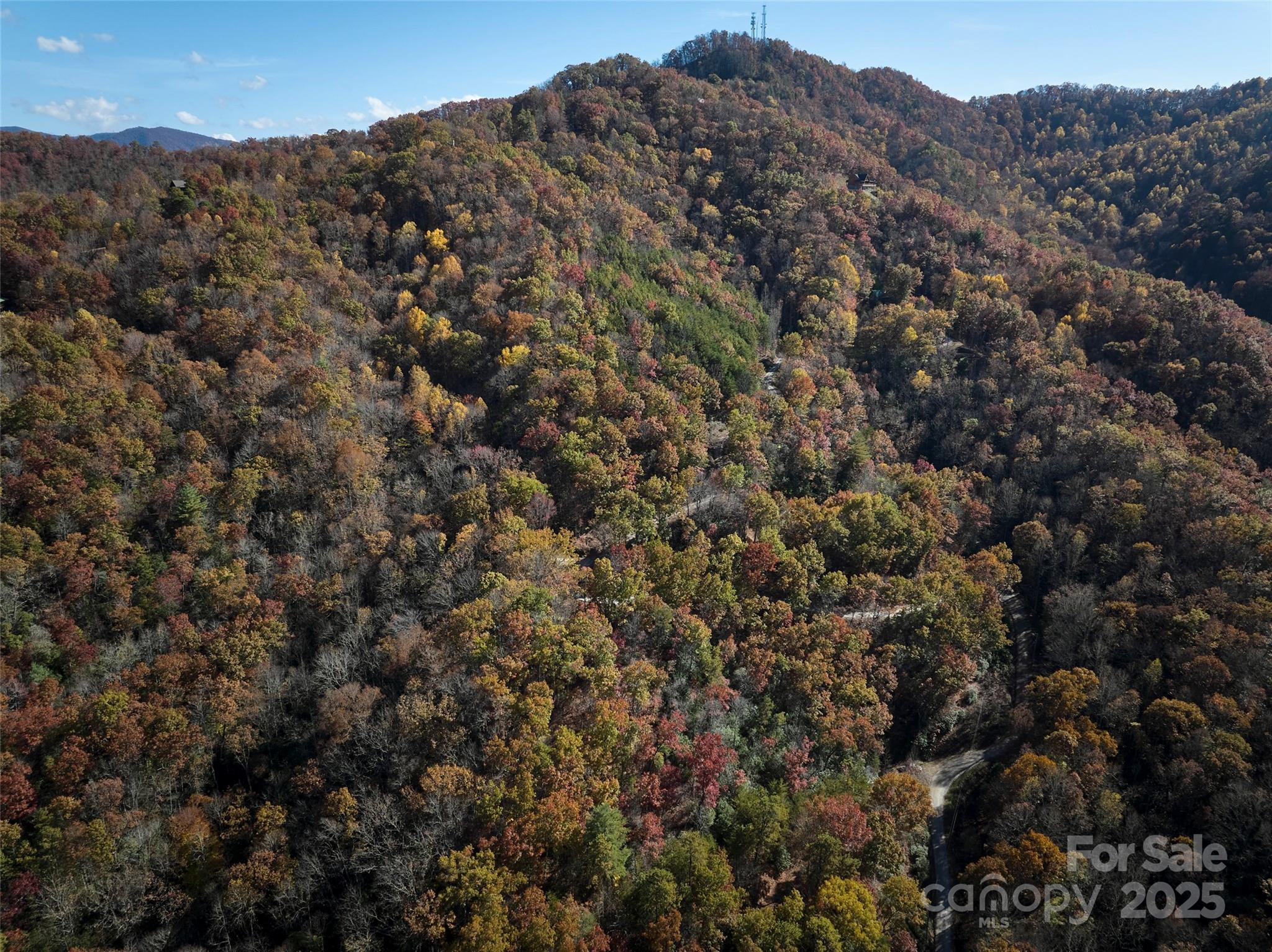 00 Black Forest Drive Property Photo 6