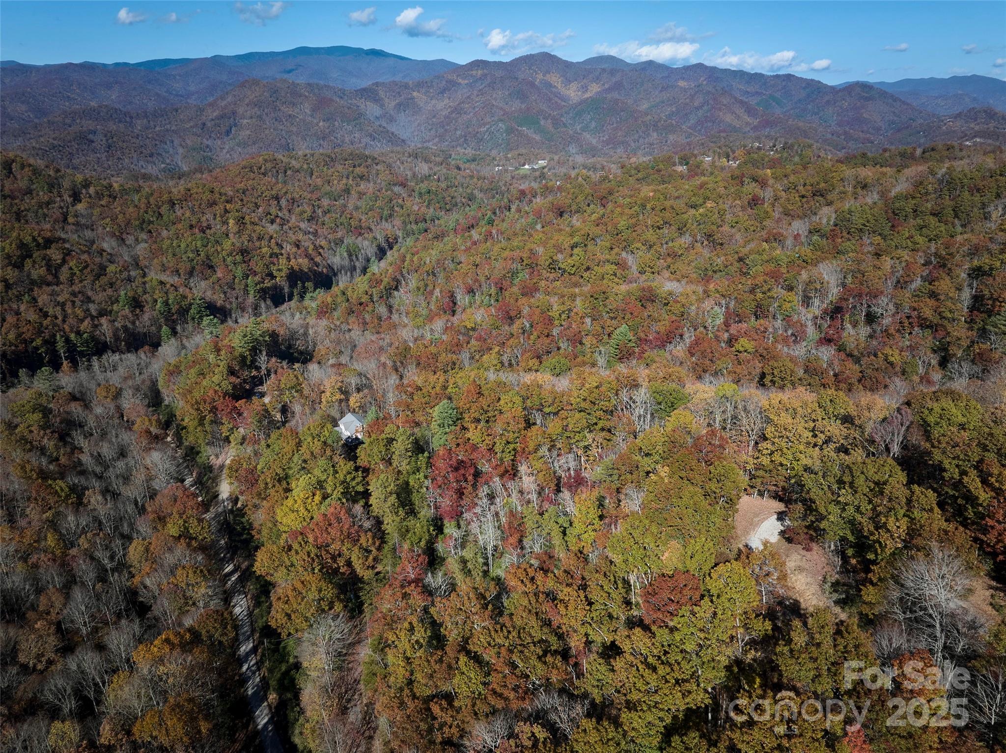 00 Black Forest Drive Property Photo 7