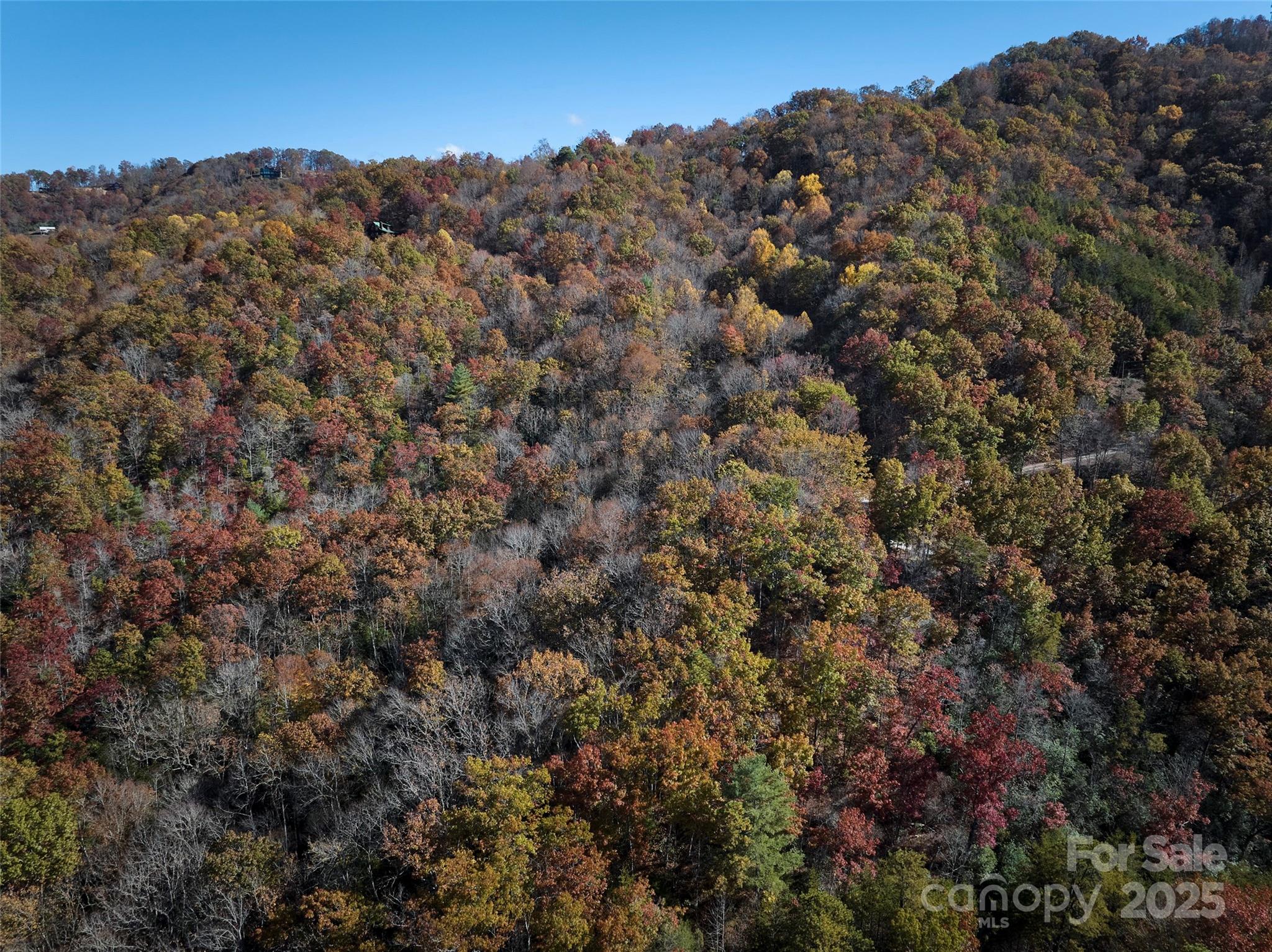 00 Black Forest Drive Property Photo 8