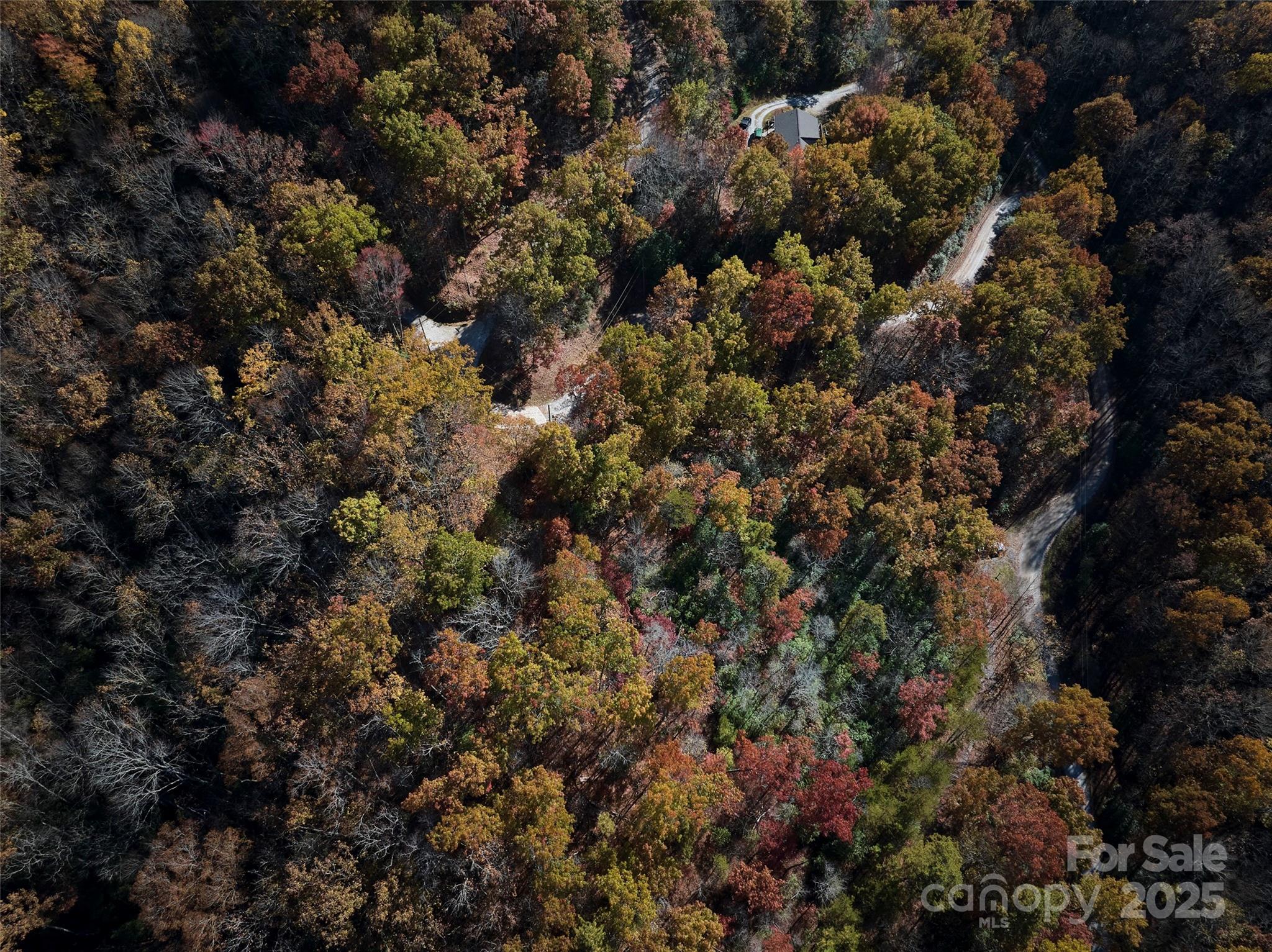 00 Black Forest Drive Property Photo 9