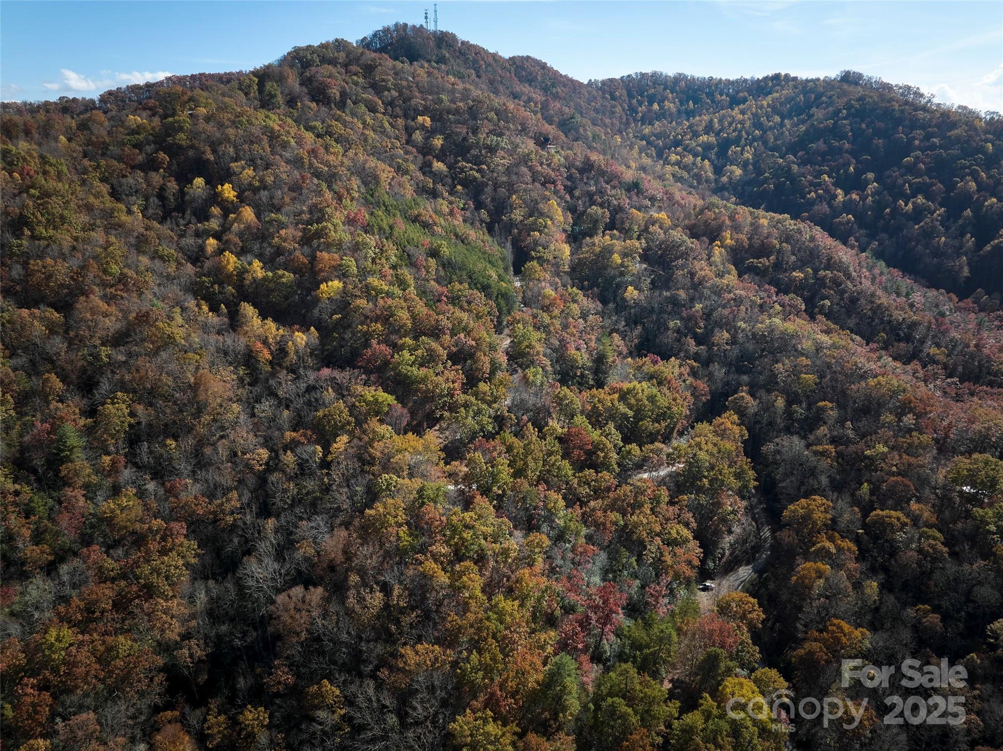 00 Black Forest Drive Property Photo 11