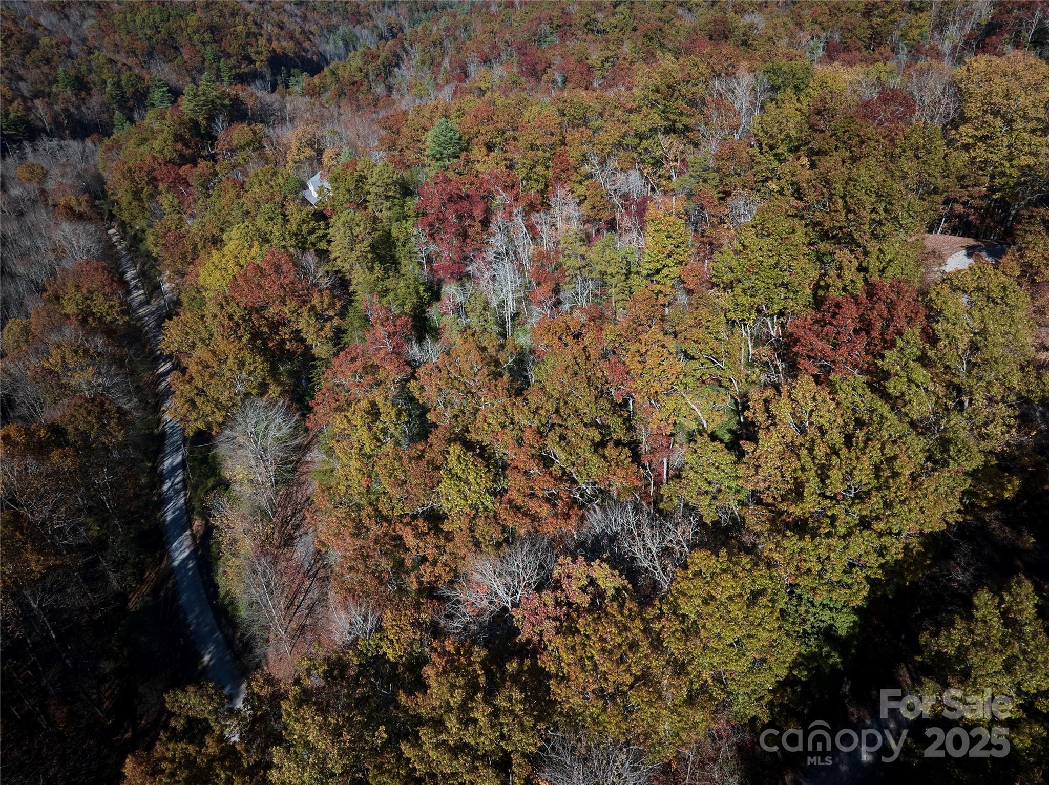 00 Black Forest Drive Property Photo 13