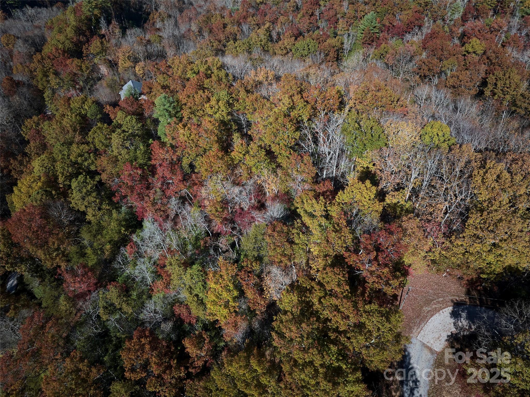 00 Black Forest Drive Property Photo 14