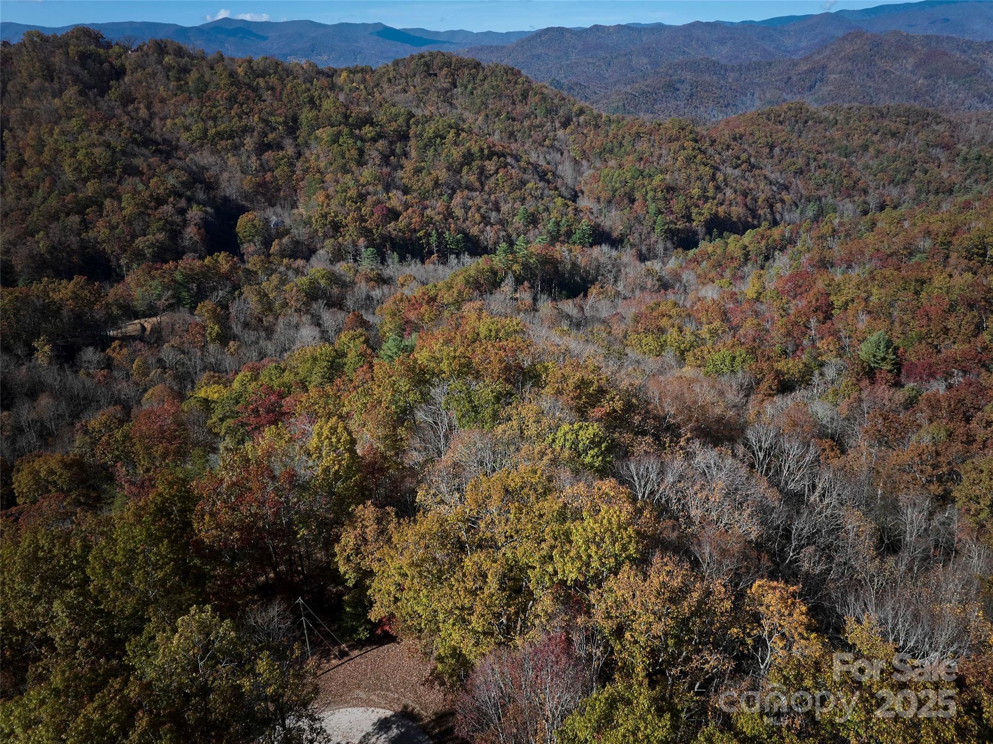 00 Black Forest Drive Property Photo 15