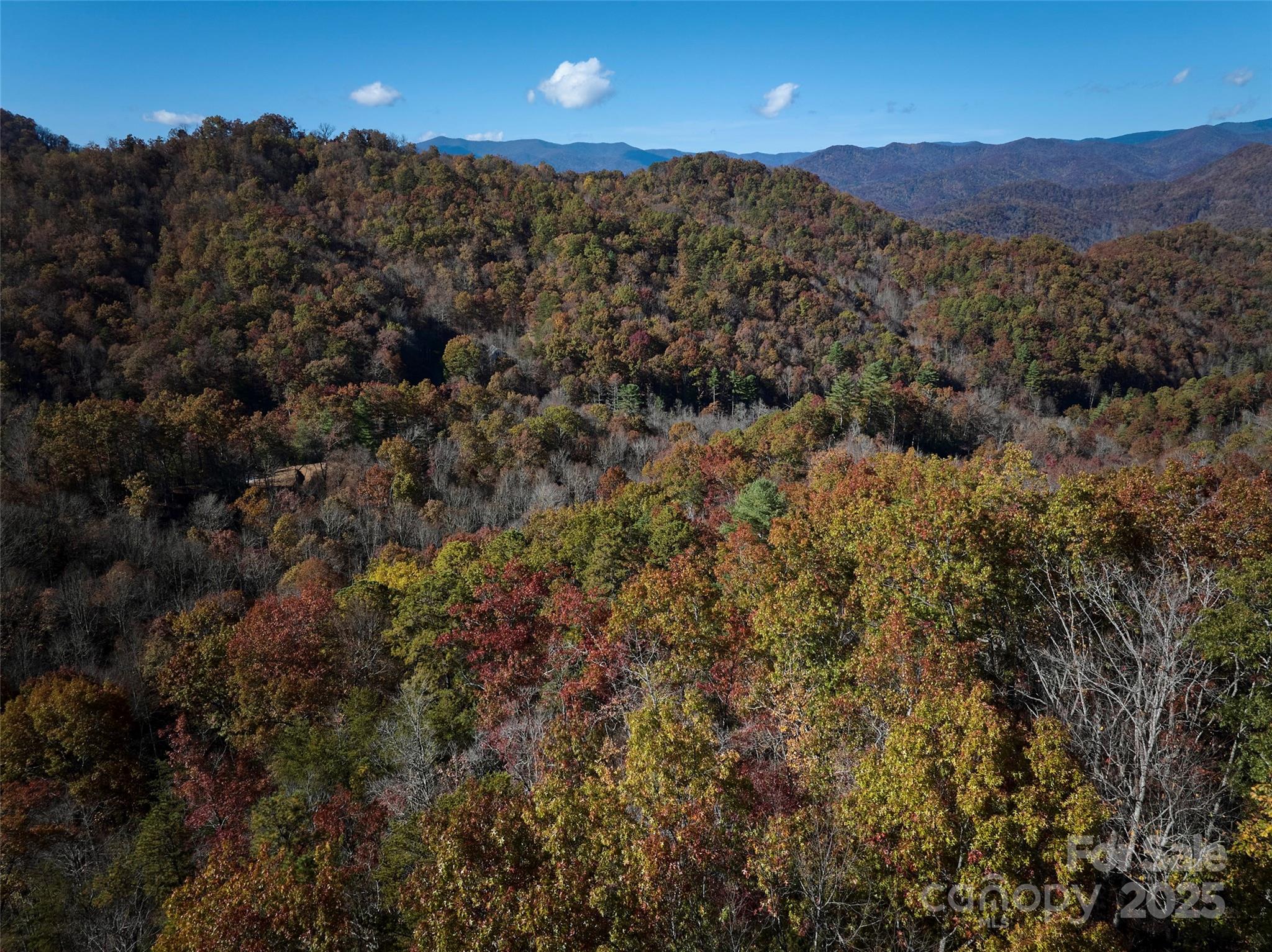 00 Black Forest Drive Property Photo 16