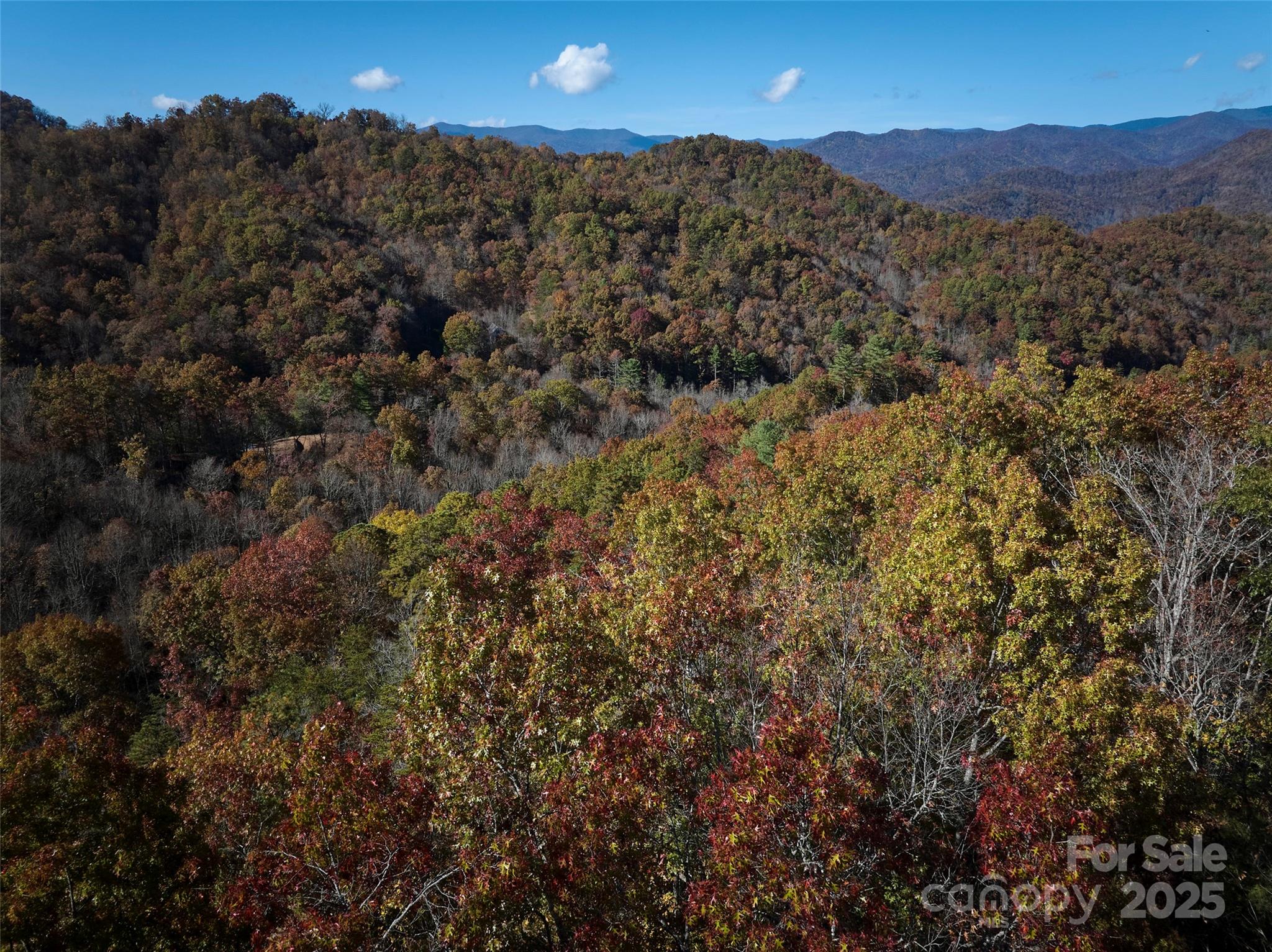 00 Black Forest Drive Property Photo 17