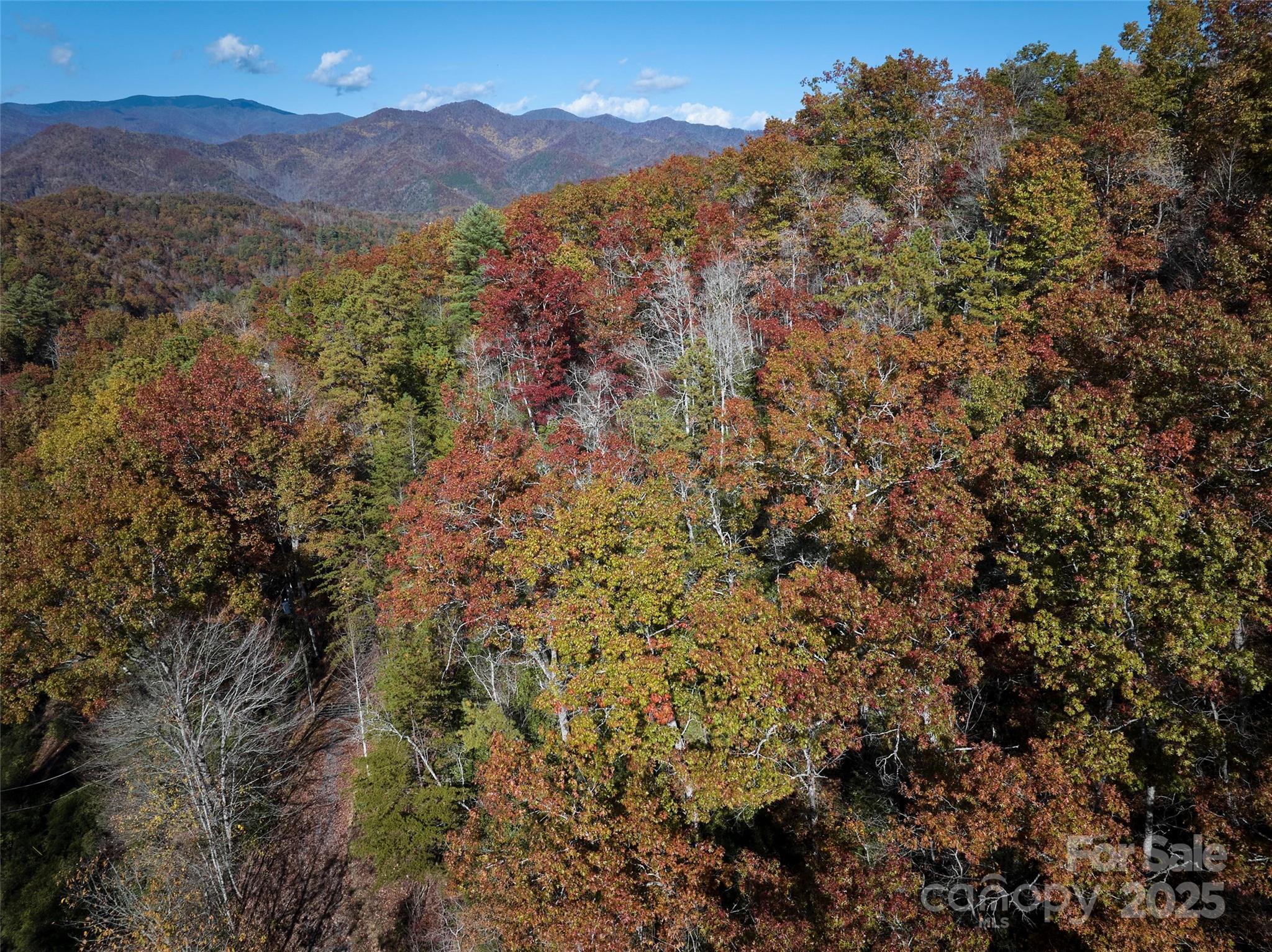 00 Black Forest Drive Property Photo 18