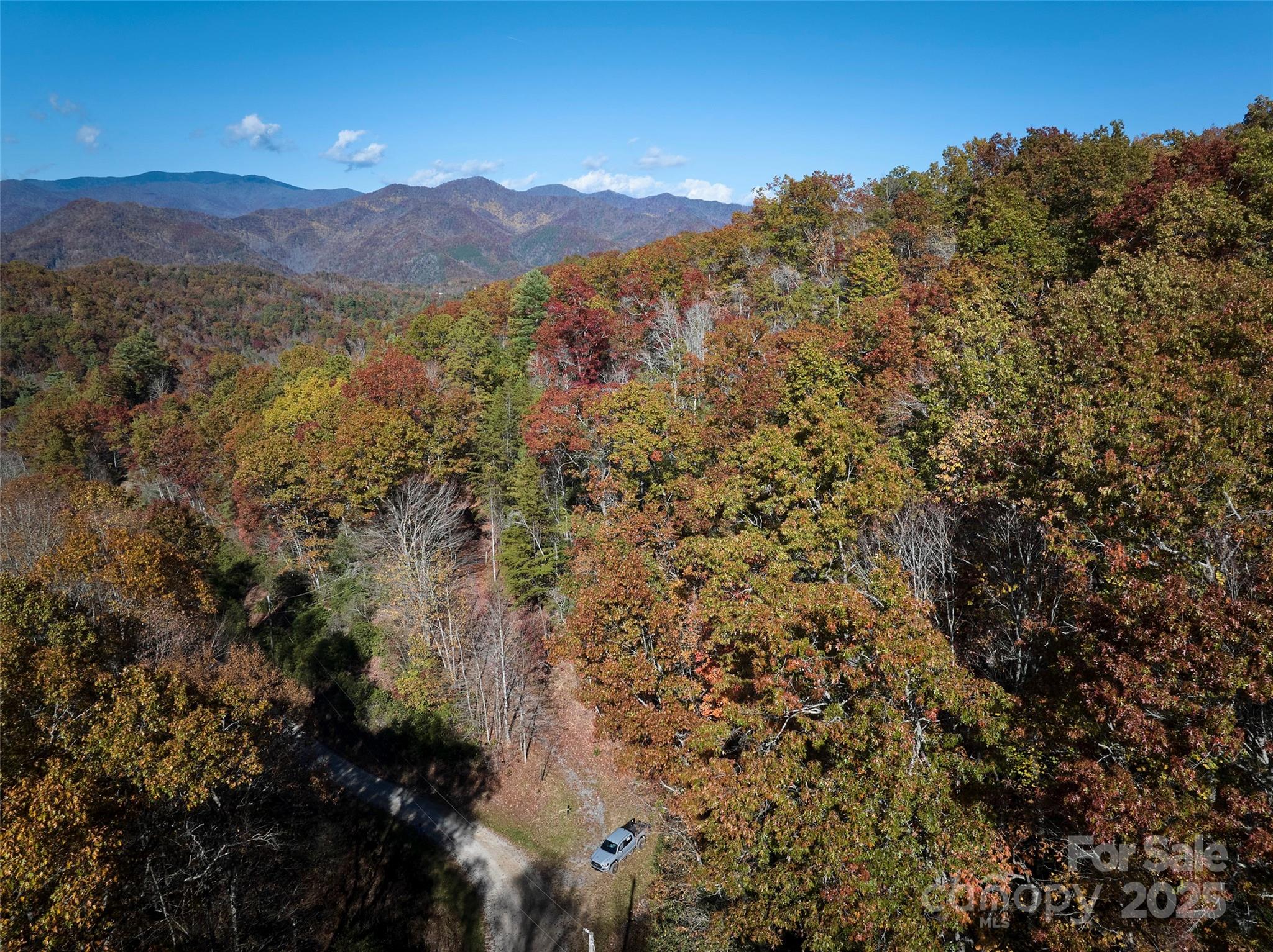 00 Black Forest Drive Property Photo 19