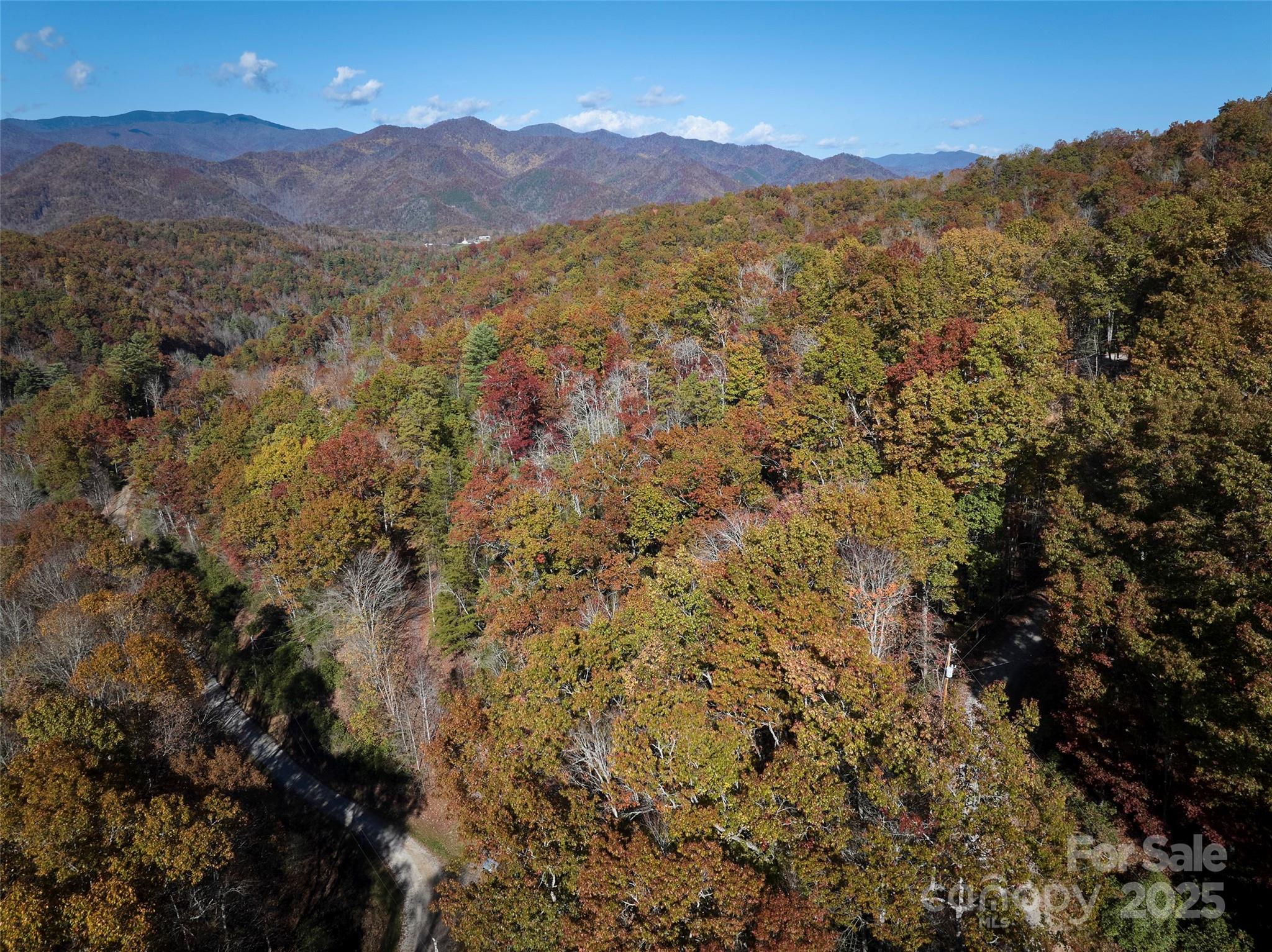 00 Black Forest Drive Property Photo 20