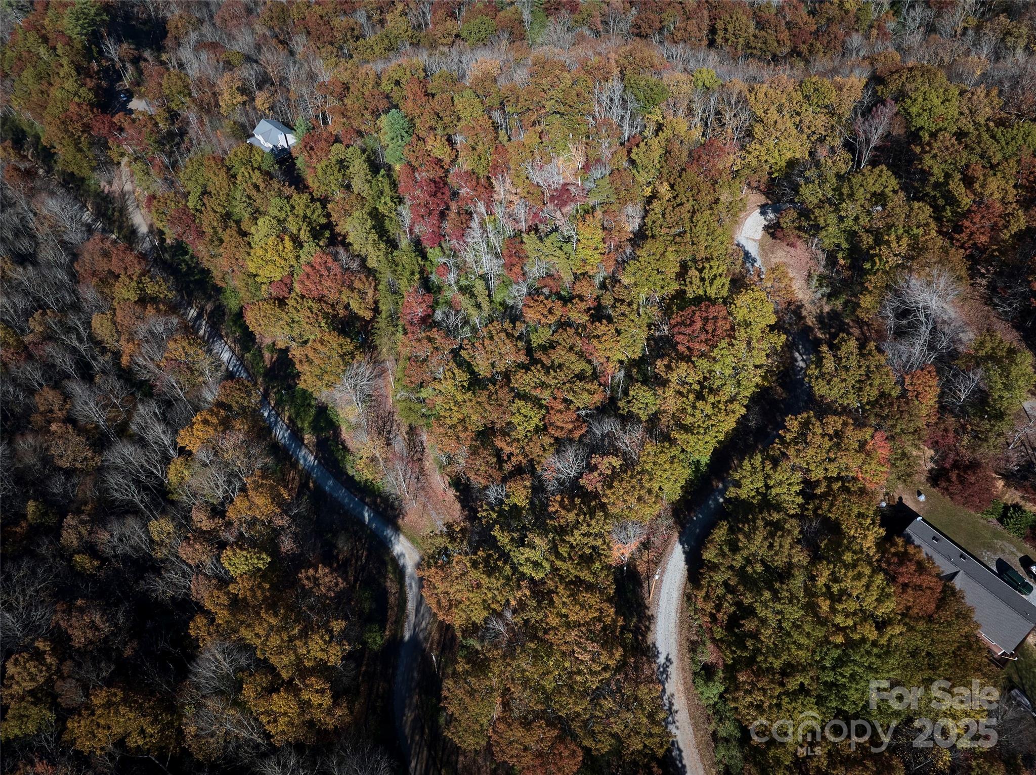 00 Black Forest Drive Property Photo 21