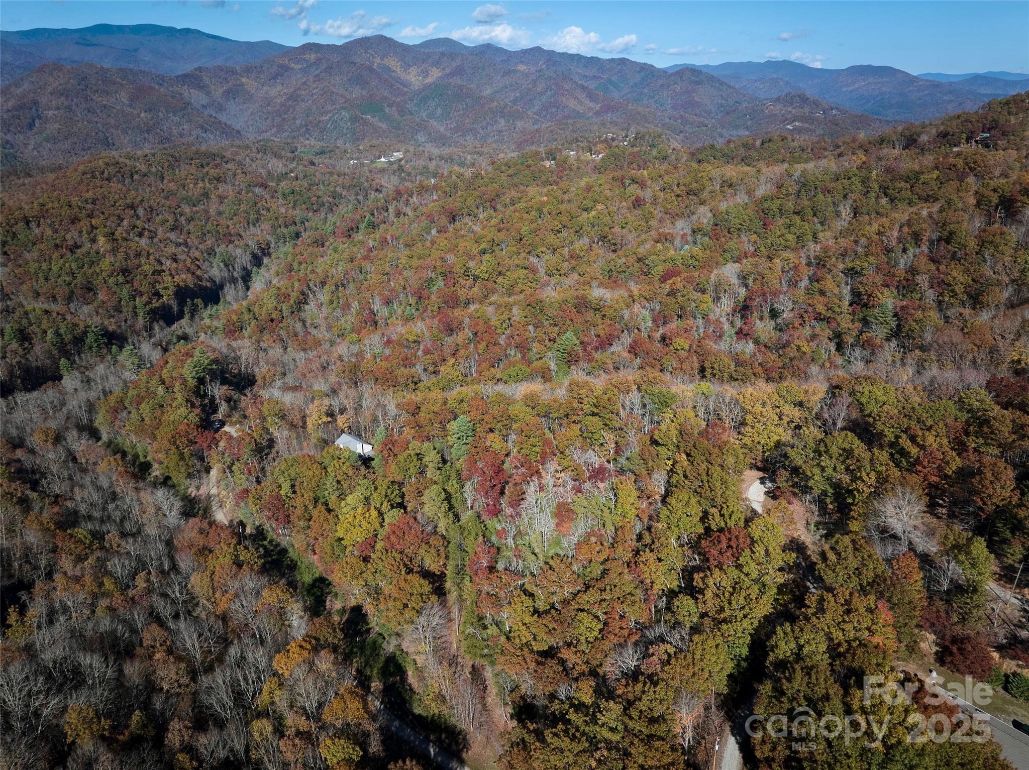 00 Black Forest Drive Property Photo 22