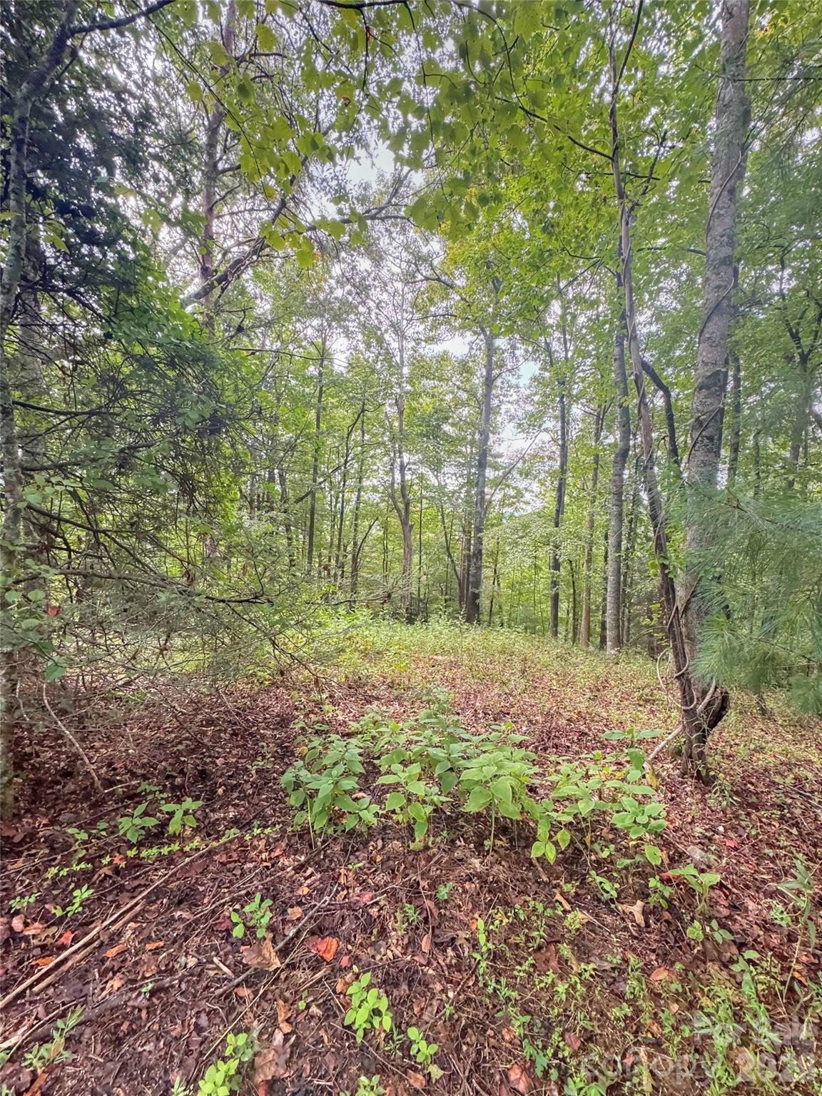 110 Stone Valley Way 20 Property Photo 1