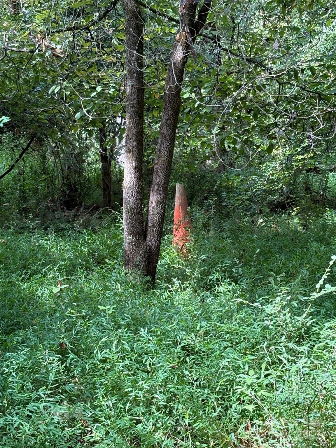 3485 Cedar Circle Road Property Photo 21