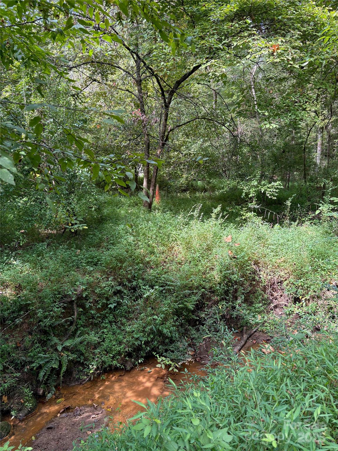 3485 Cedar Circle Road Property Photo 22