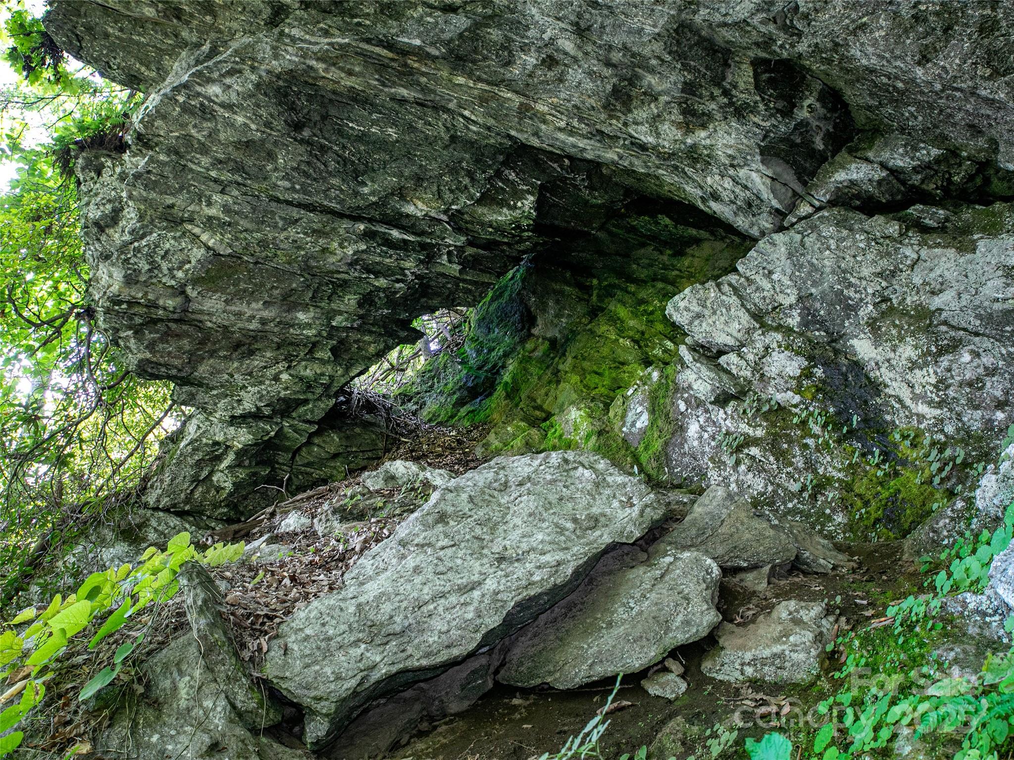 0000 N Robinson Creek Road Property Photo 5