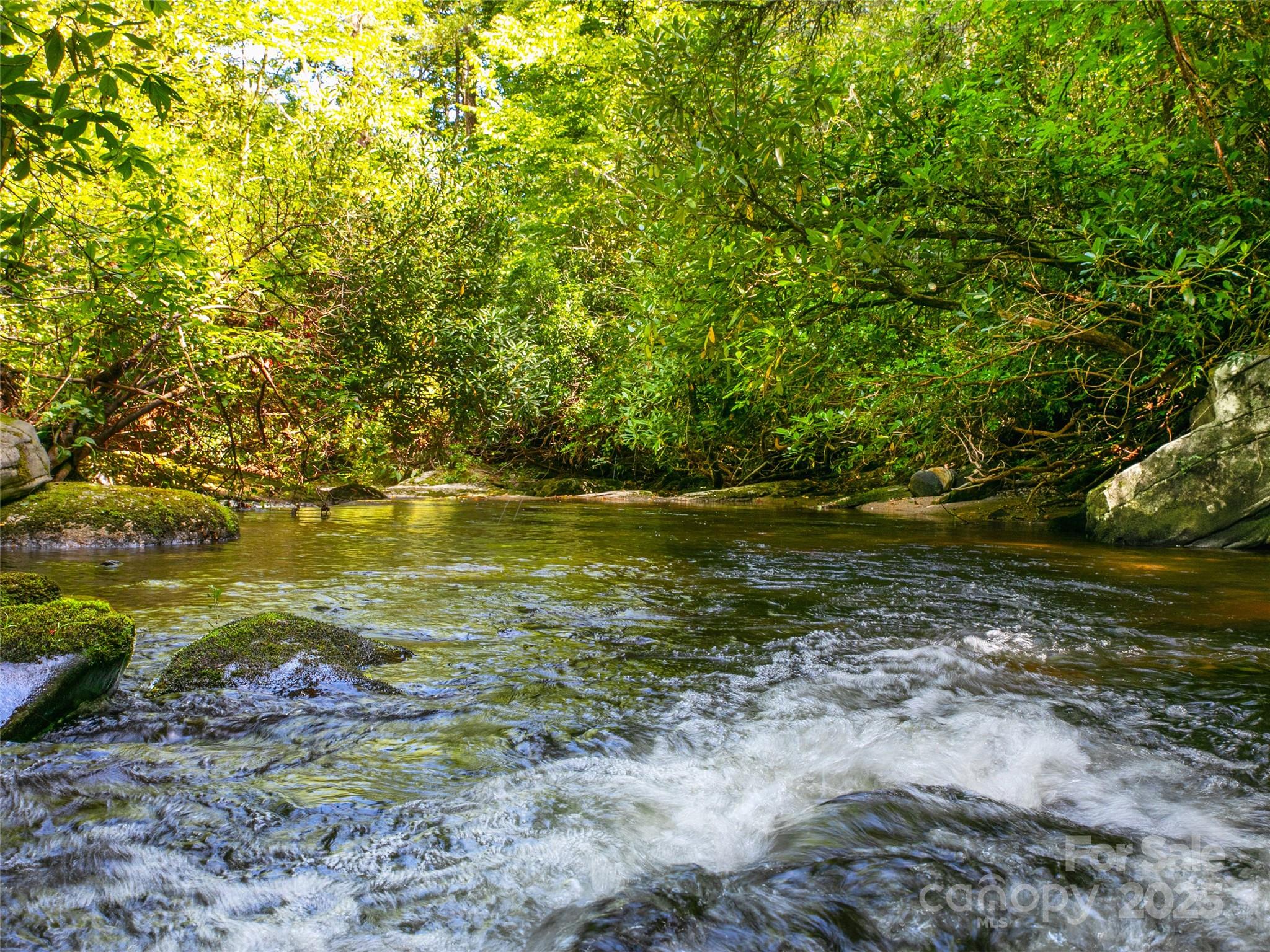 0000 N Robinson Creek Road Property Photo 6