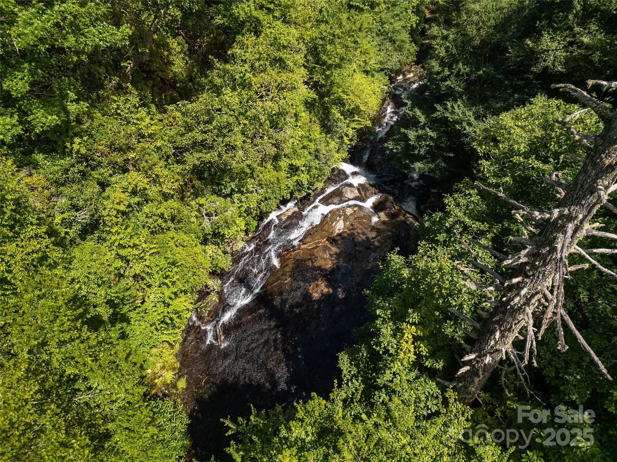 0000 N Robinson Creek Road Property Photo 9