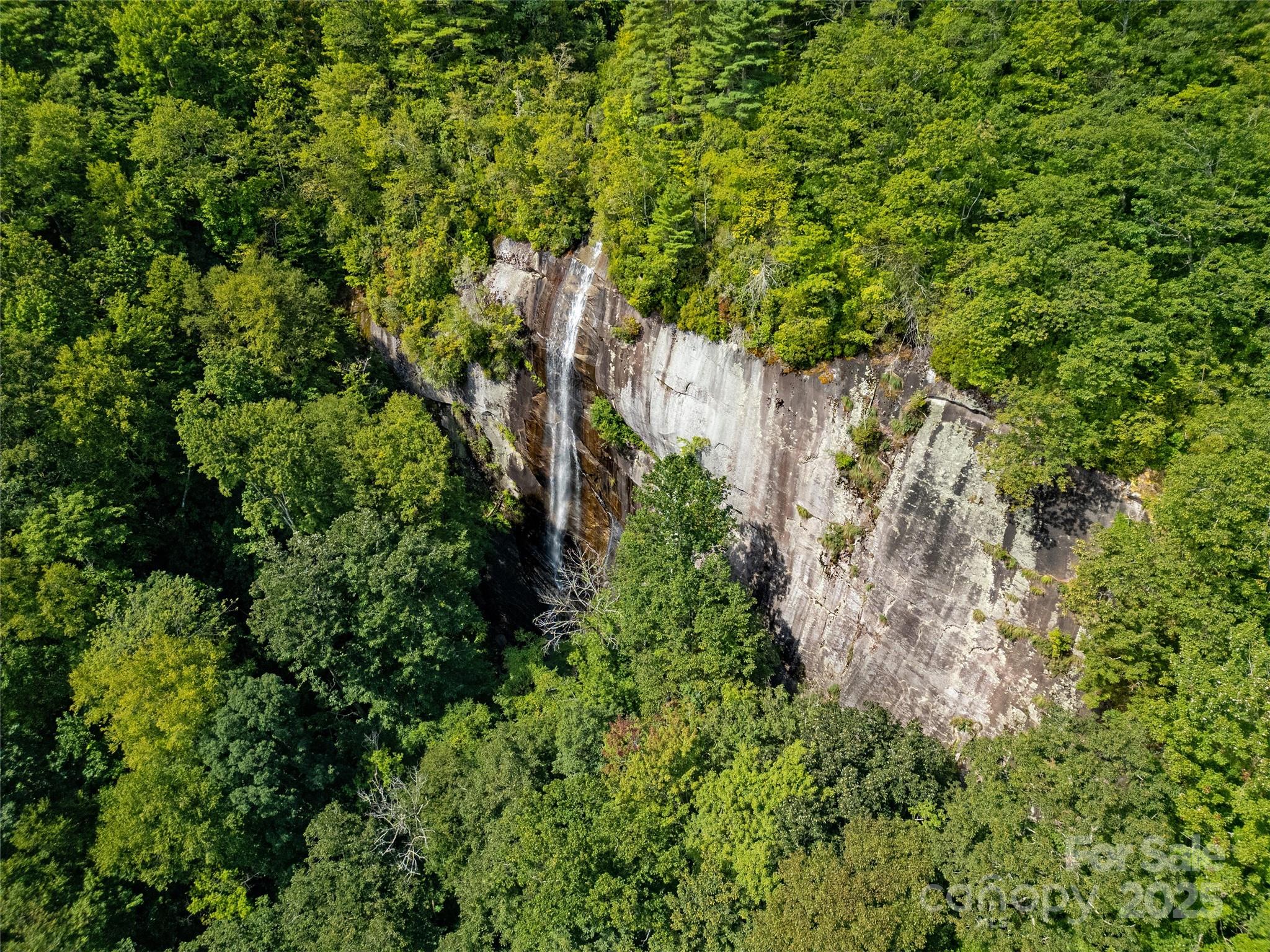 0000 N Robinson Creek Road Property Photo 11