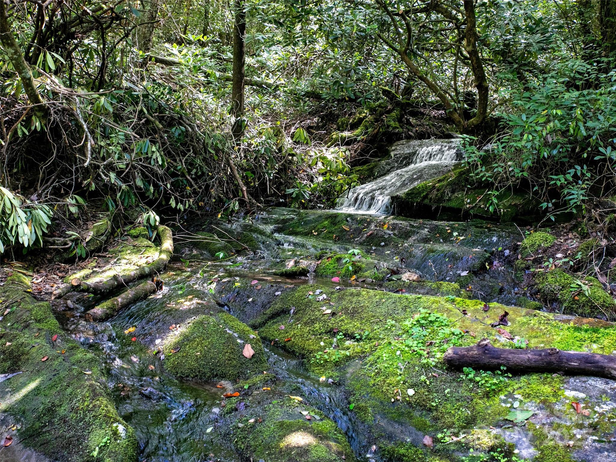 0000 N Robinson Creek Road Property Photo 24