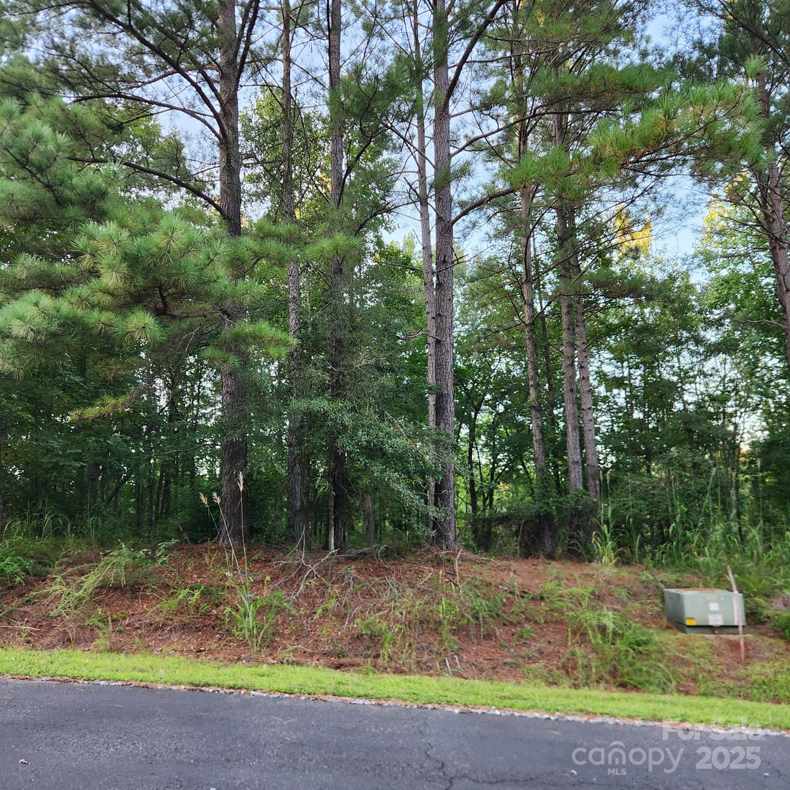115 Scenic Ridge Drive Property Photo 1