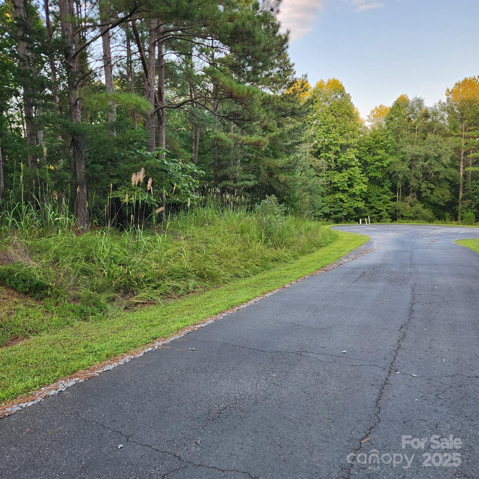 115 Scenic Ridge Drive Property Photo 2