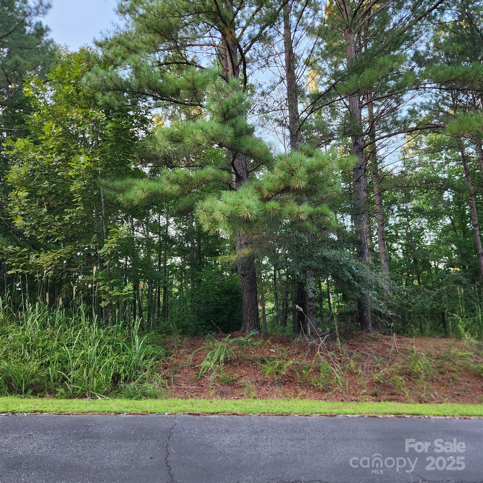 115 Scenic Ridge Drive Property Photo 3
