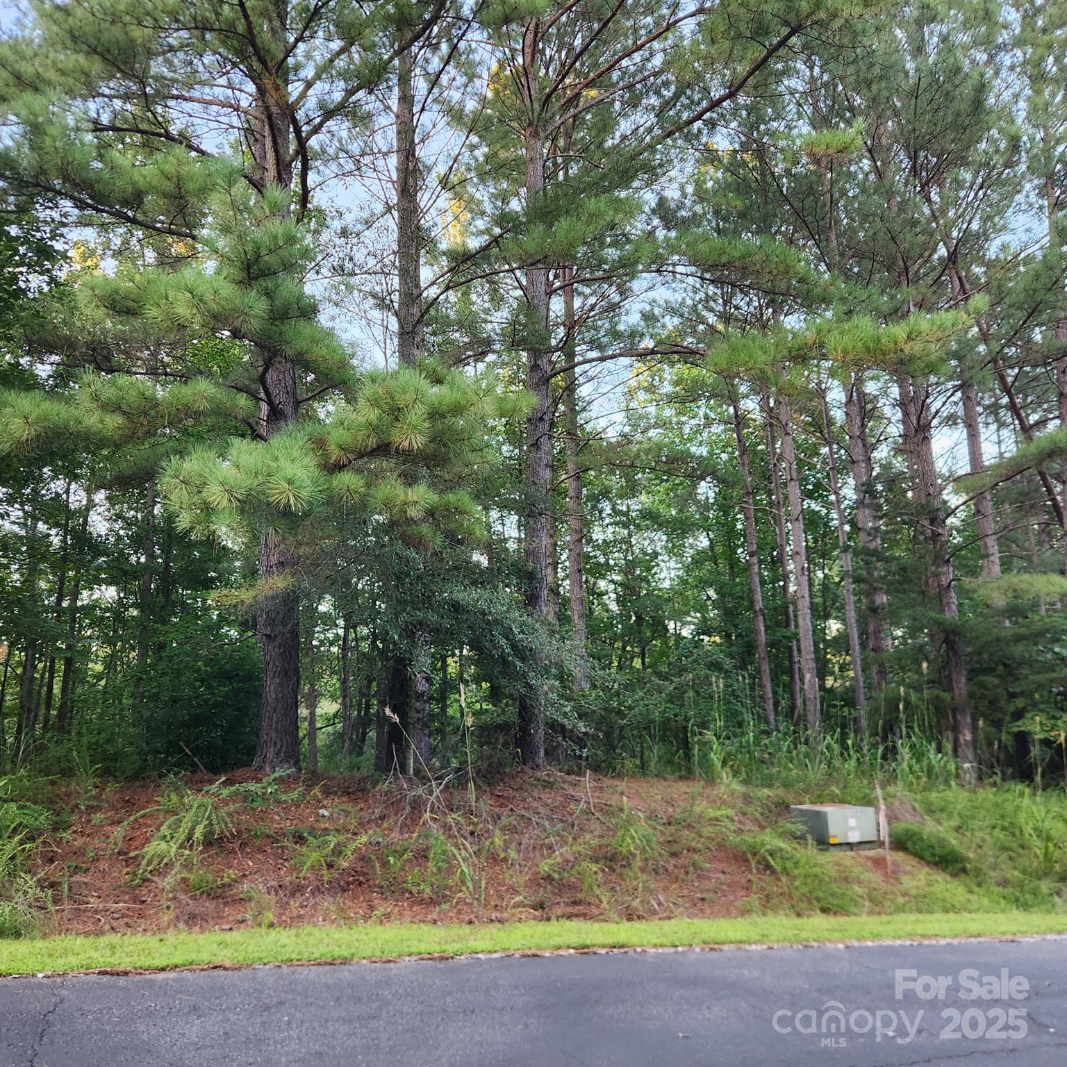 115 Scenic Ridge Drive Property Photo 4