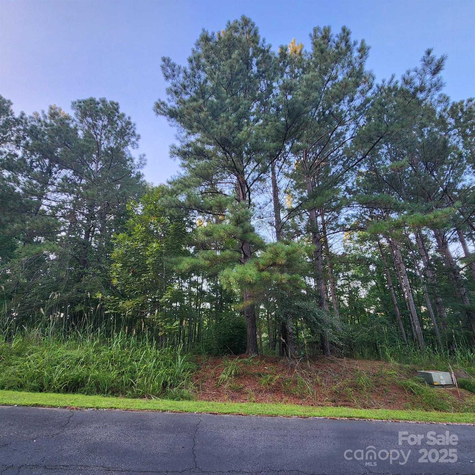 115 Scenic Ridge Drive Property Photo 5
