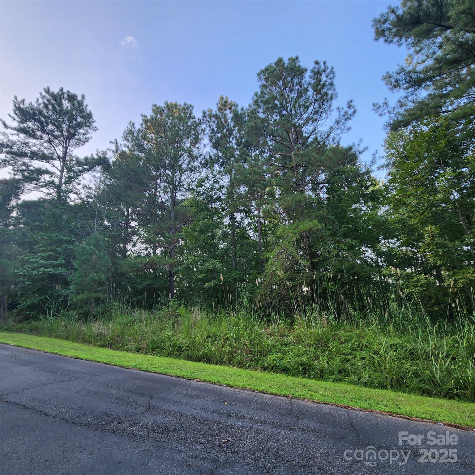 115 Scenic Ridge Drive Property Photo 6