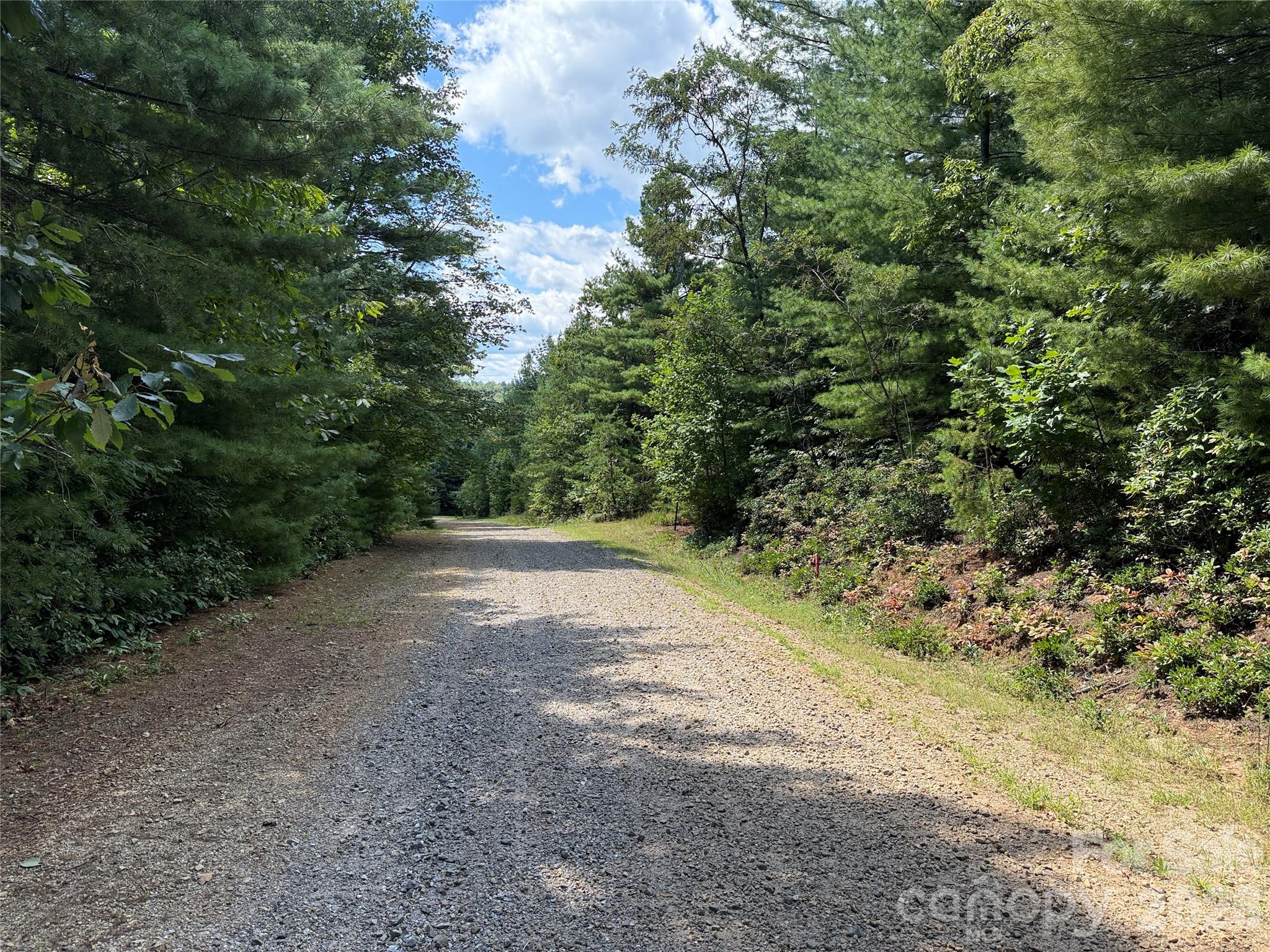 Tbd Staghorn Road 163 Property Photo 5