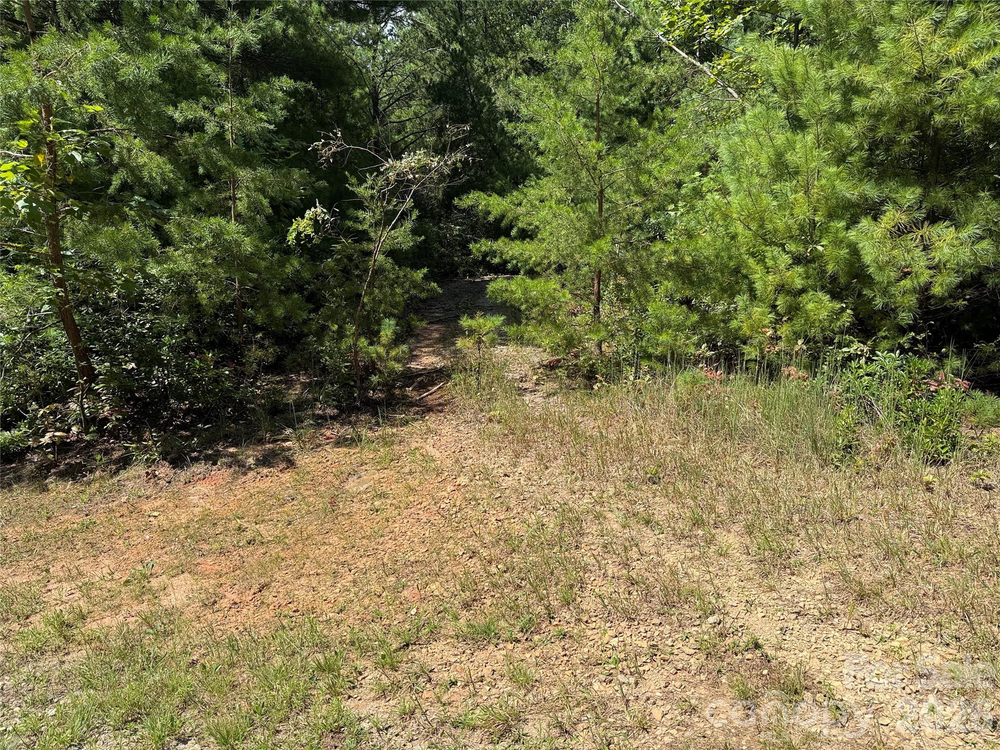 Tbd Staghorn Road 163 Property Photo 6