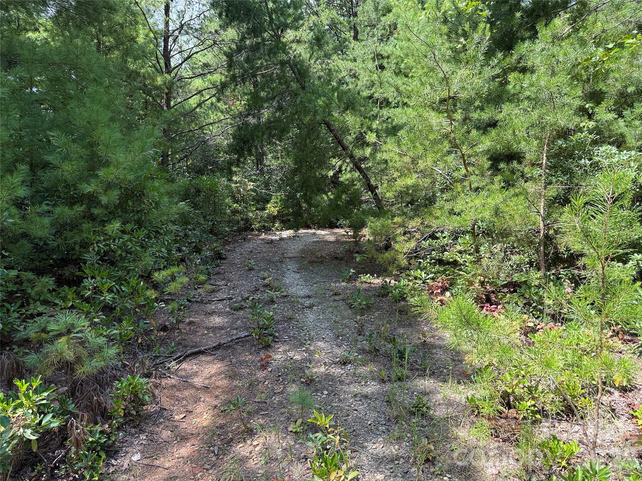 Tbd Staghorn Road 163 Property Photo 7