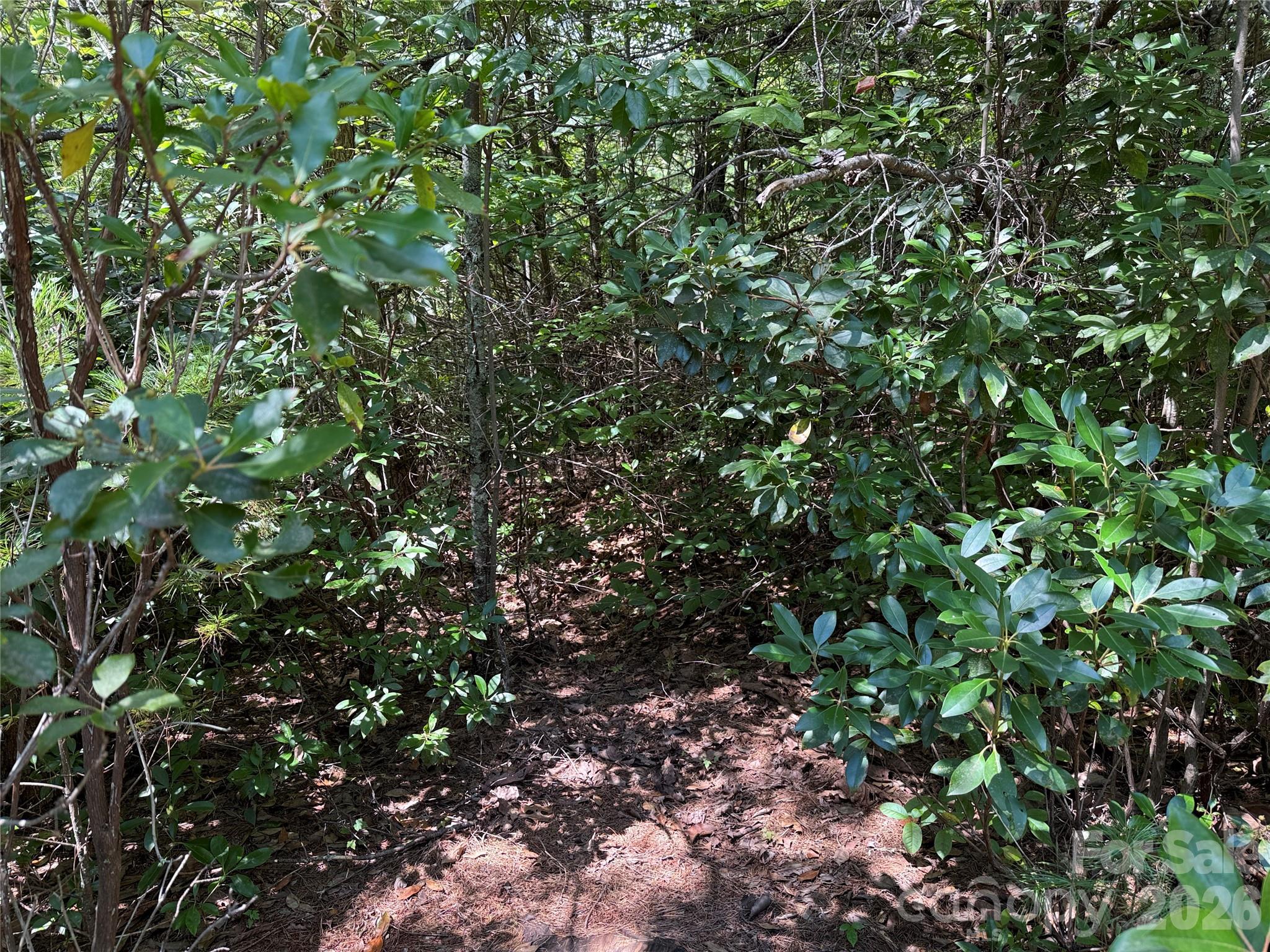 Tbd Staghorn Road 163 Property Photo 8
