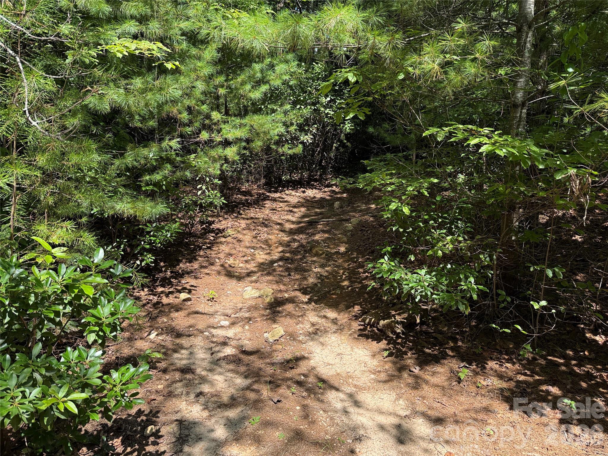 Tbd Staghorn Road 163 Property Photo 9