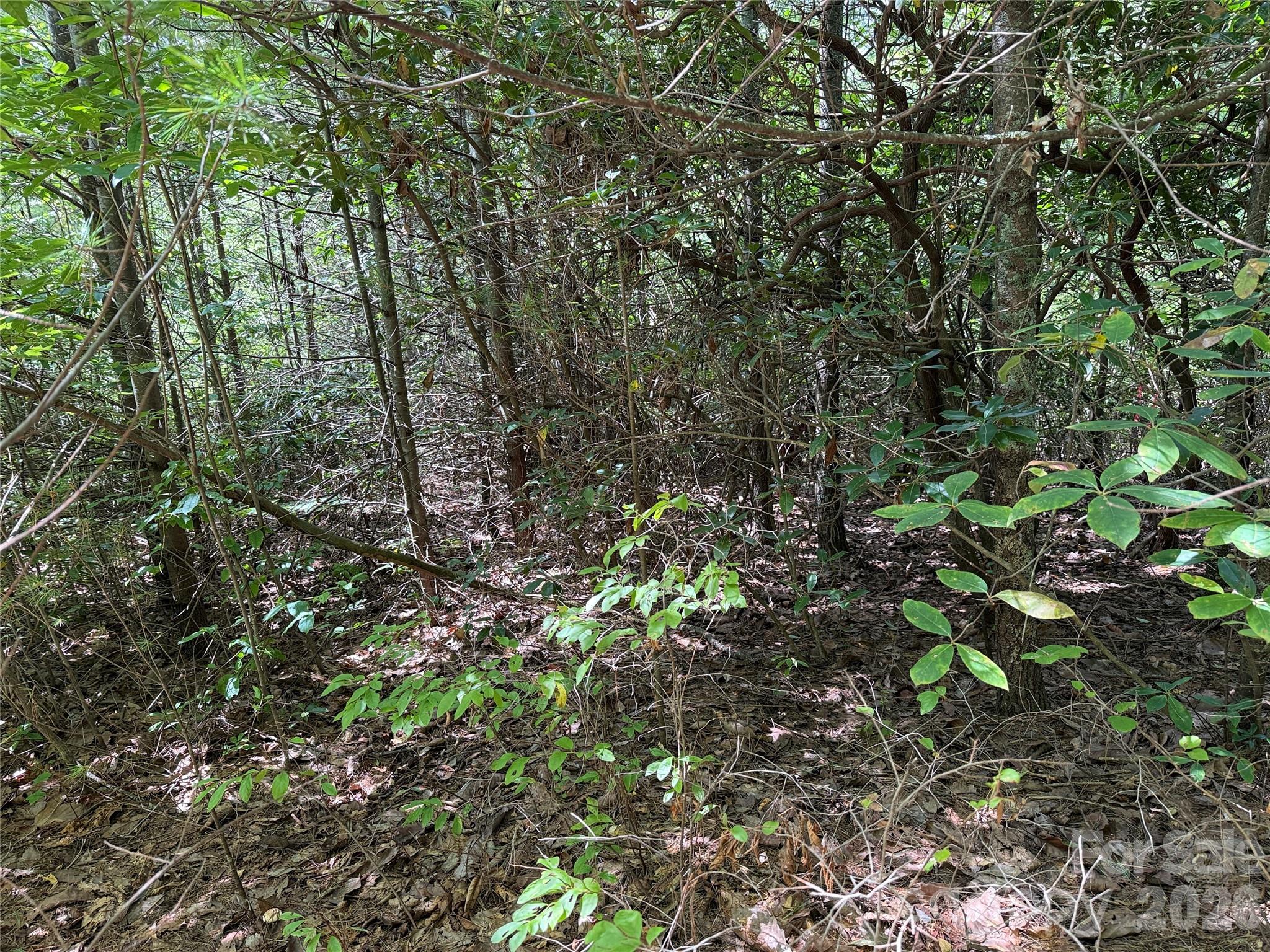 Tbd Staghorn Road 163 Property Photo 10