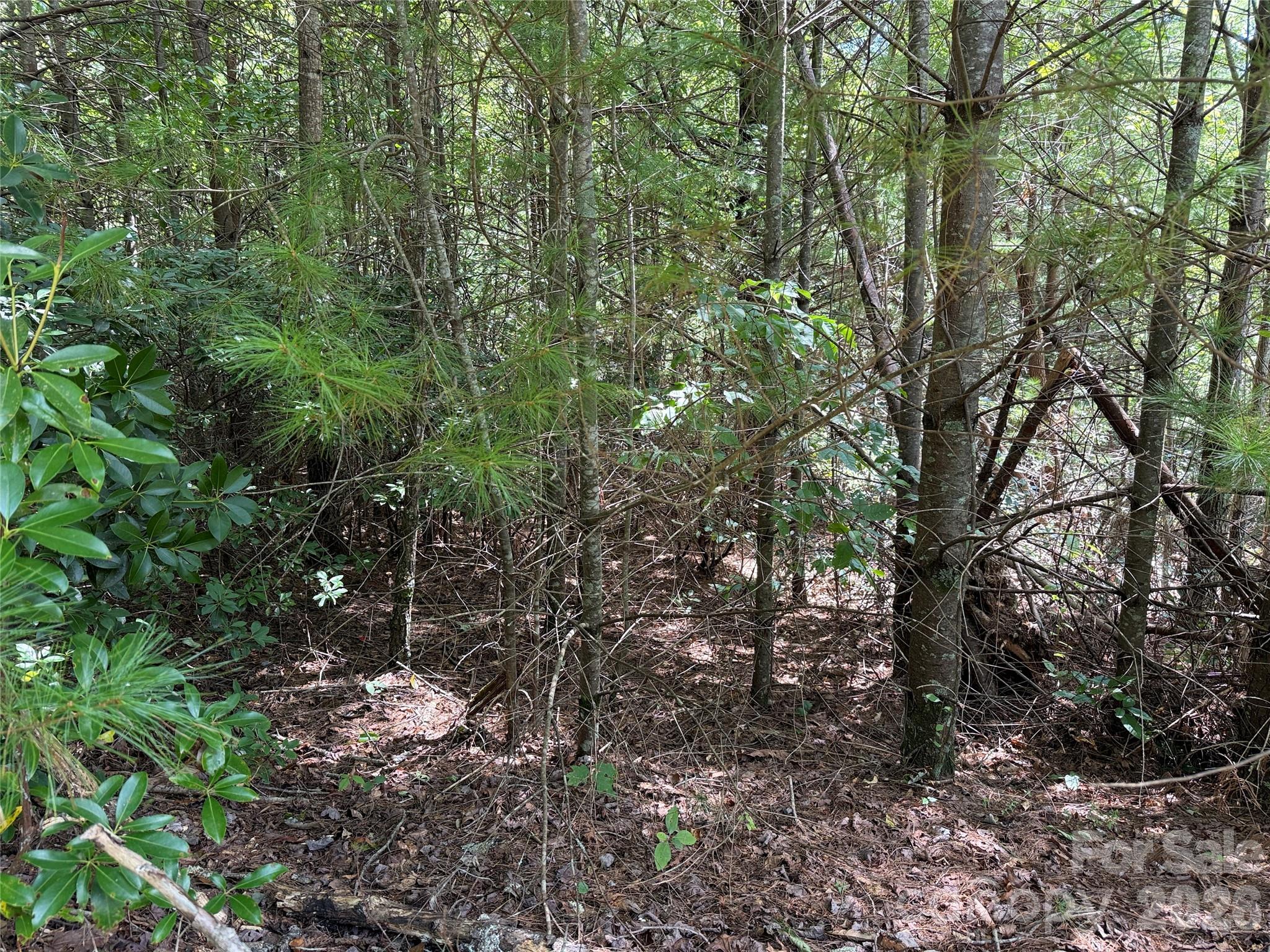 Tbd Staghorn Road 163 Property Photo 12