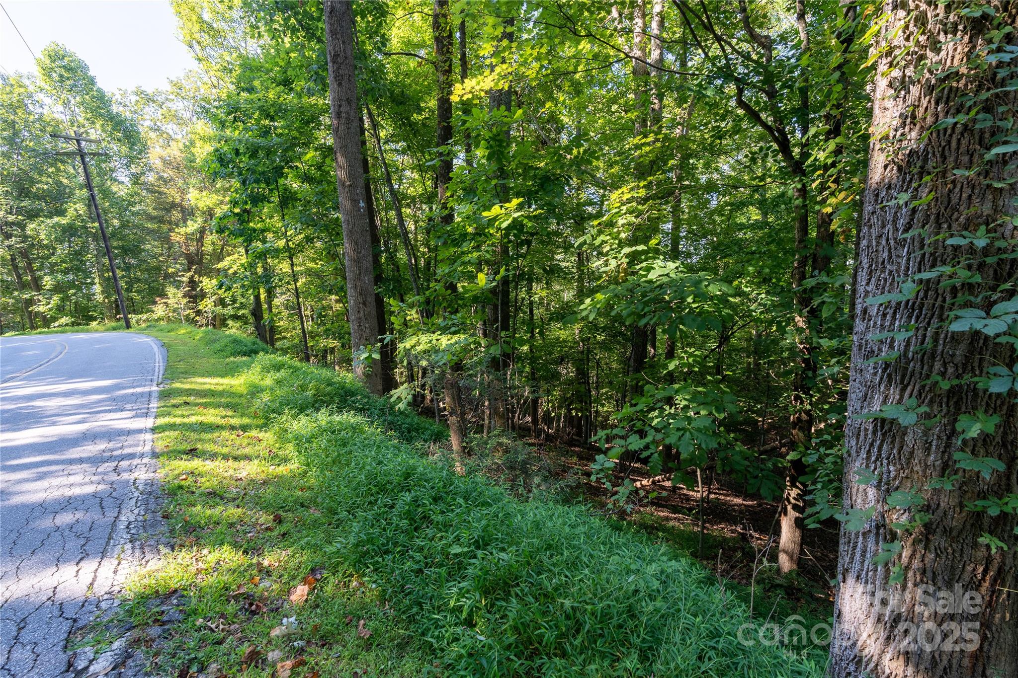0000 Laurel Park Highway Property Photo 11