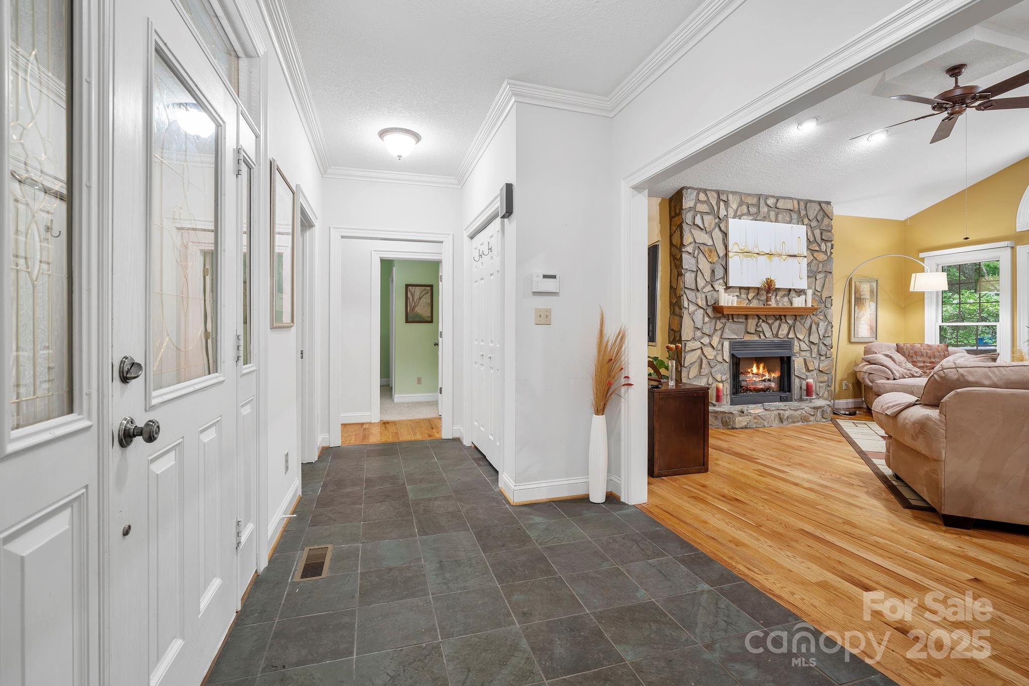 458 Blue Mist Way Property Photo 6